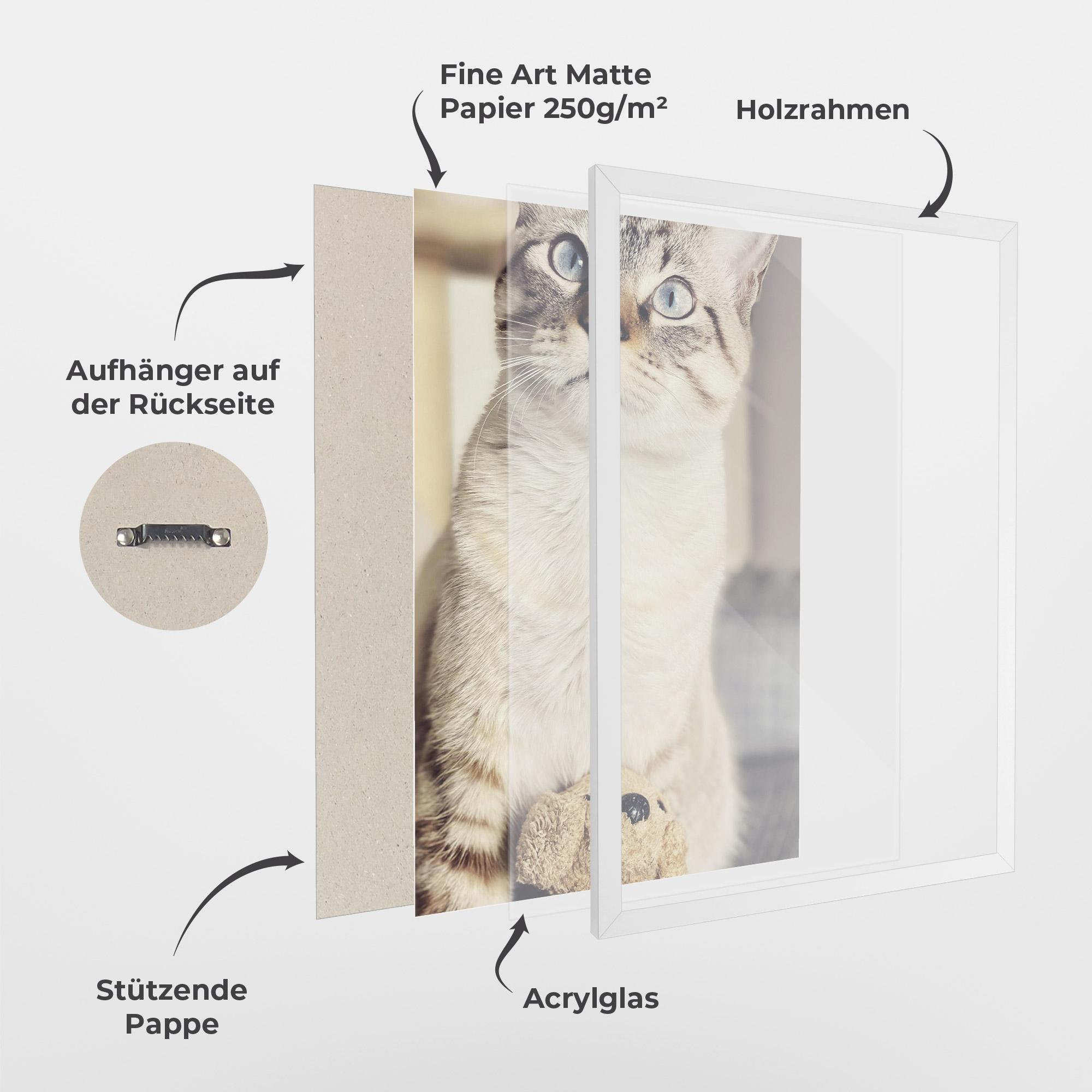 Gerahmte Poster Pretty Blue Eyes Cat mockup 1