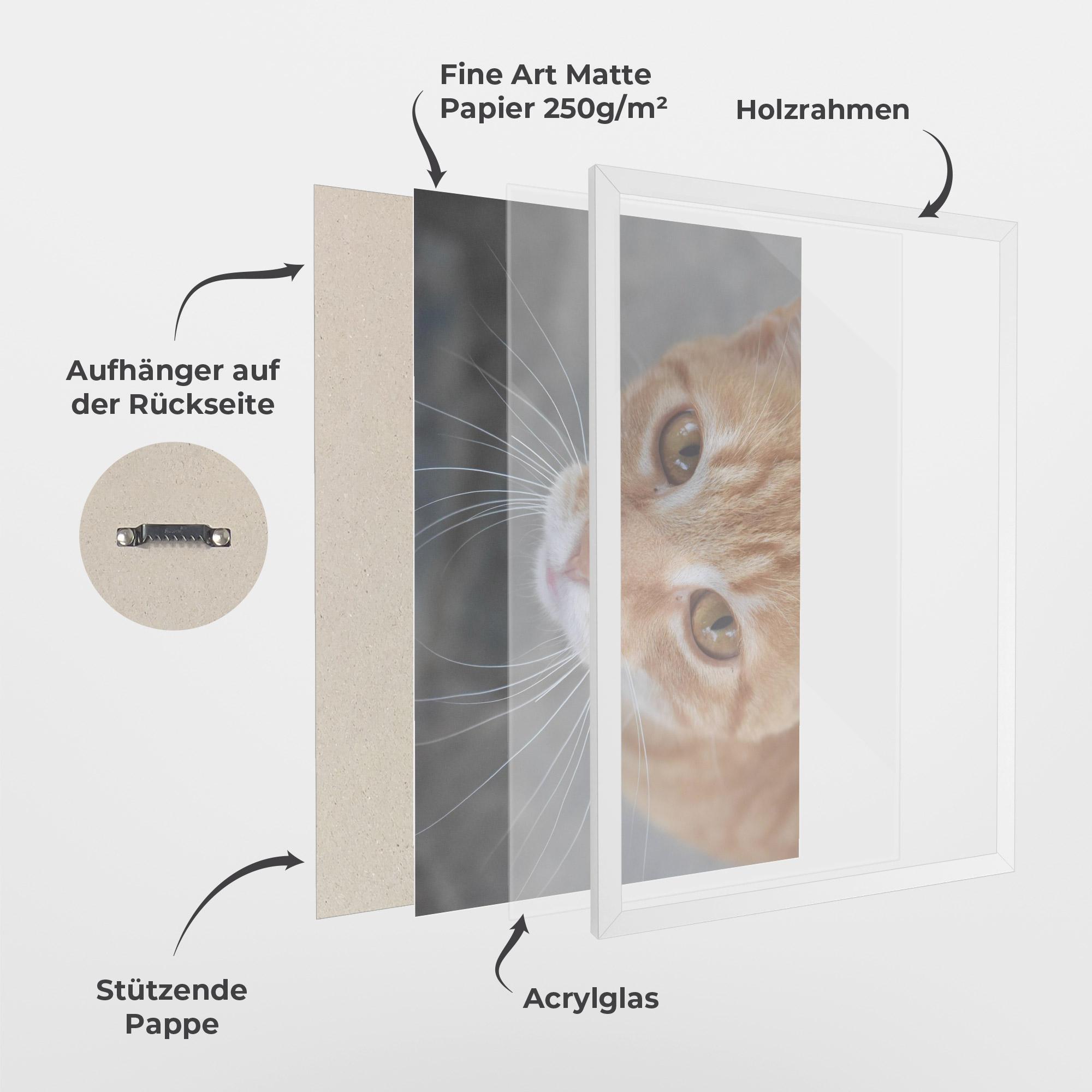 Gerahmte Poster Pretty Orange Eyes Cat mockup 1