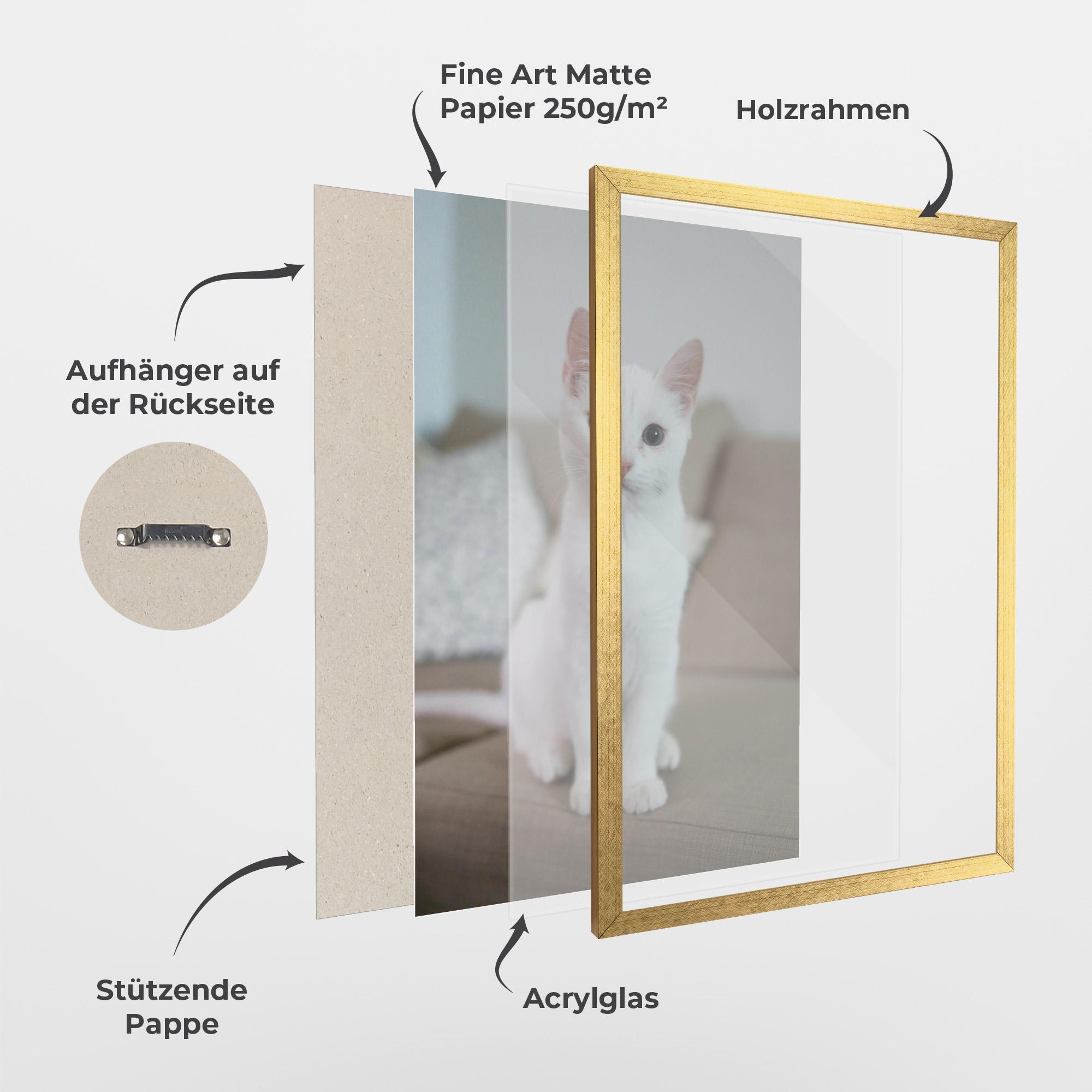 Gerahmte Poster Beautiful White Cat mockup 1