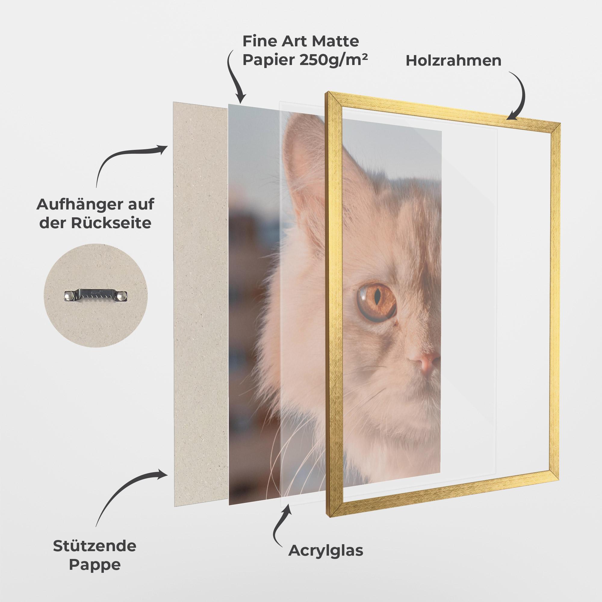 Gerahmte Poster Cat Eye In Sun mockup 1