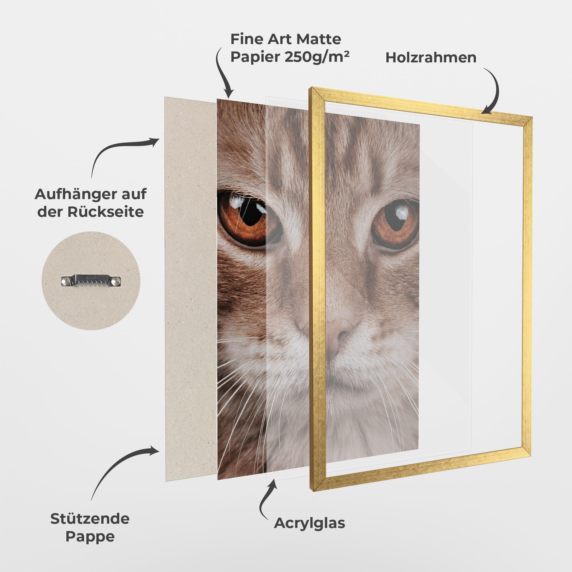 Gerahmte Poster Fire Eyes Cat mockup 1