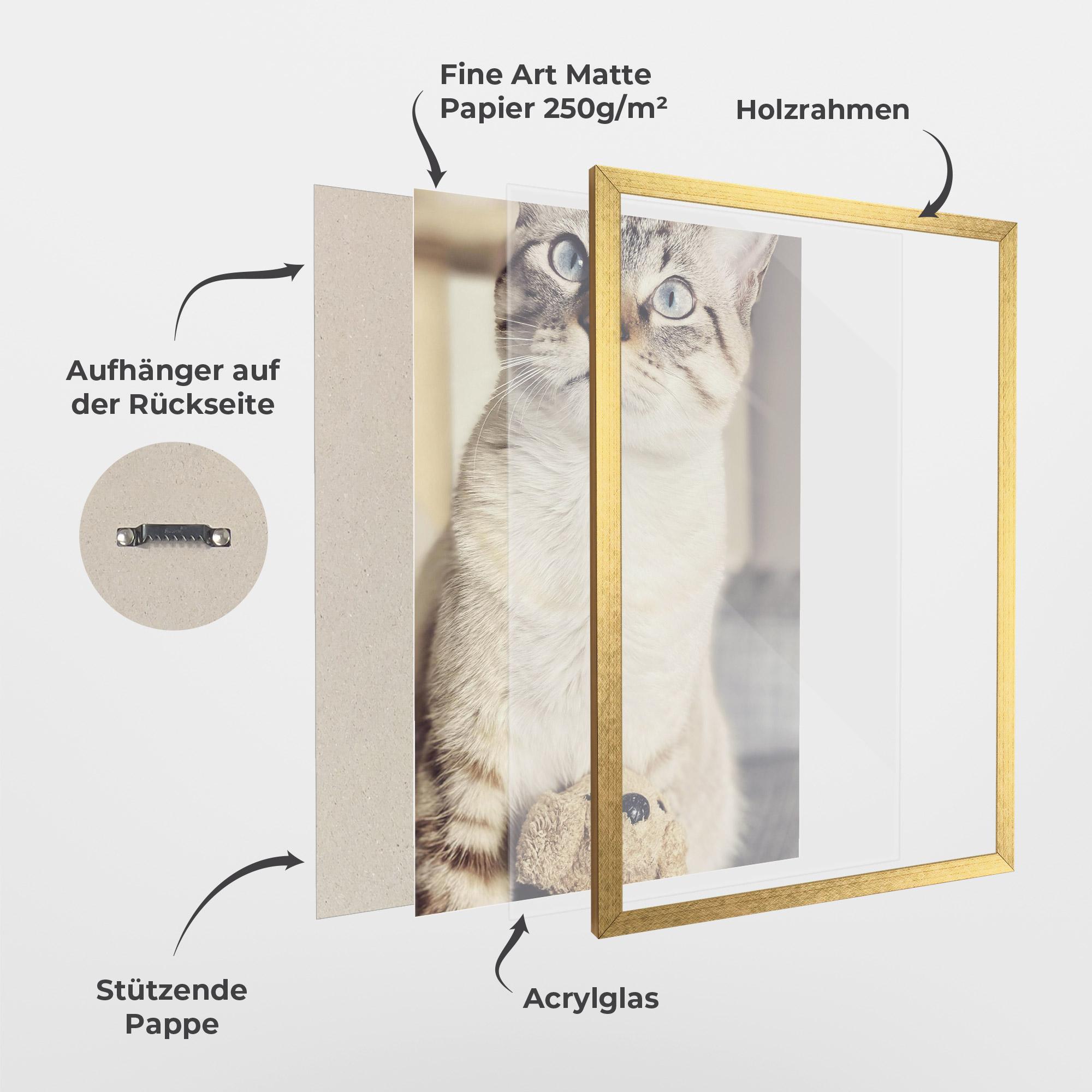 Gerahmte Poster Pretty Blue Eyes Cat mockup 1