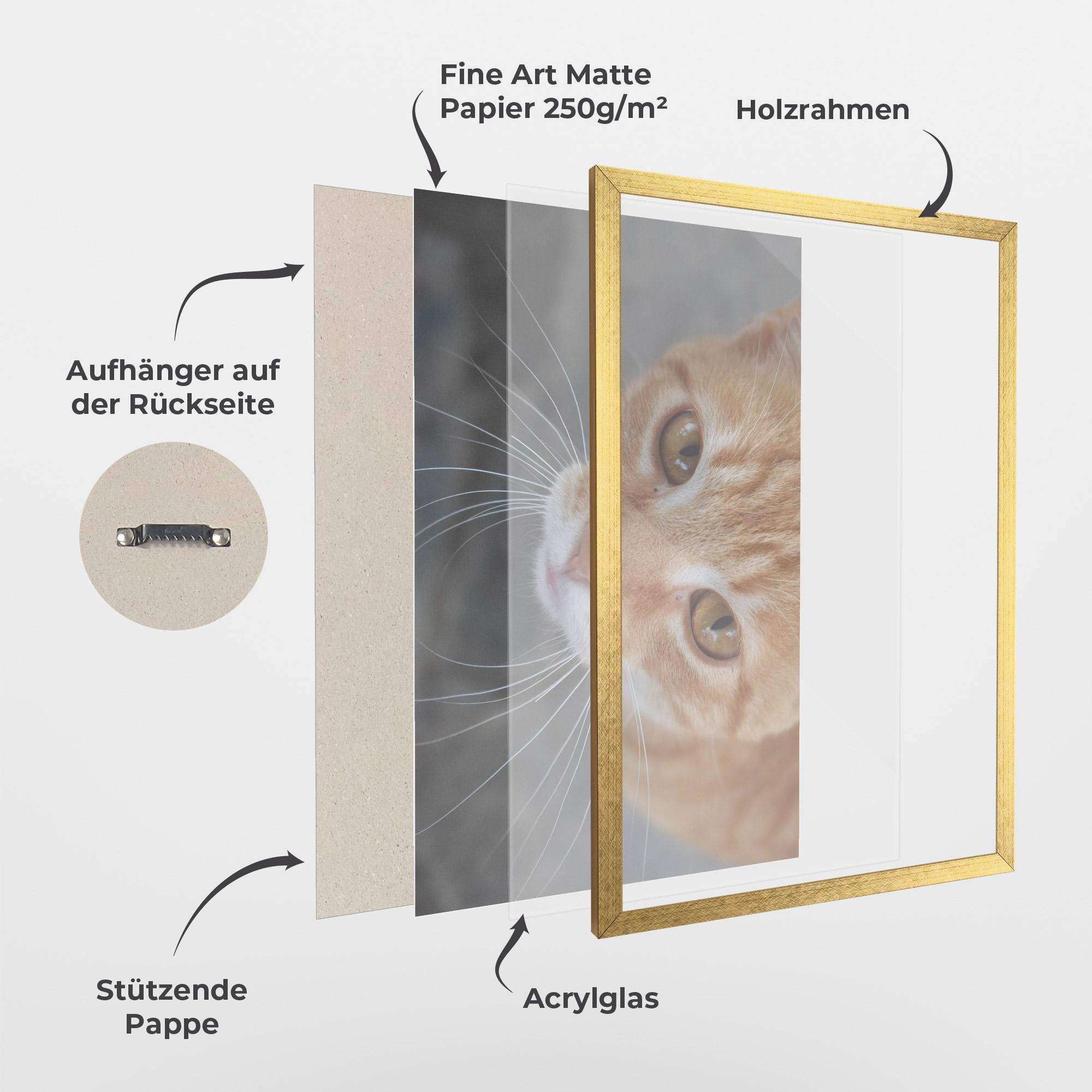 Gerahmte Poster Pretty Orange Eyes Cat mockup 1