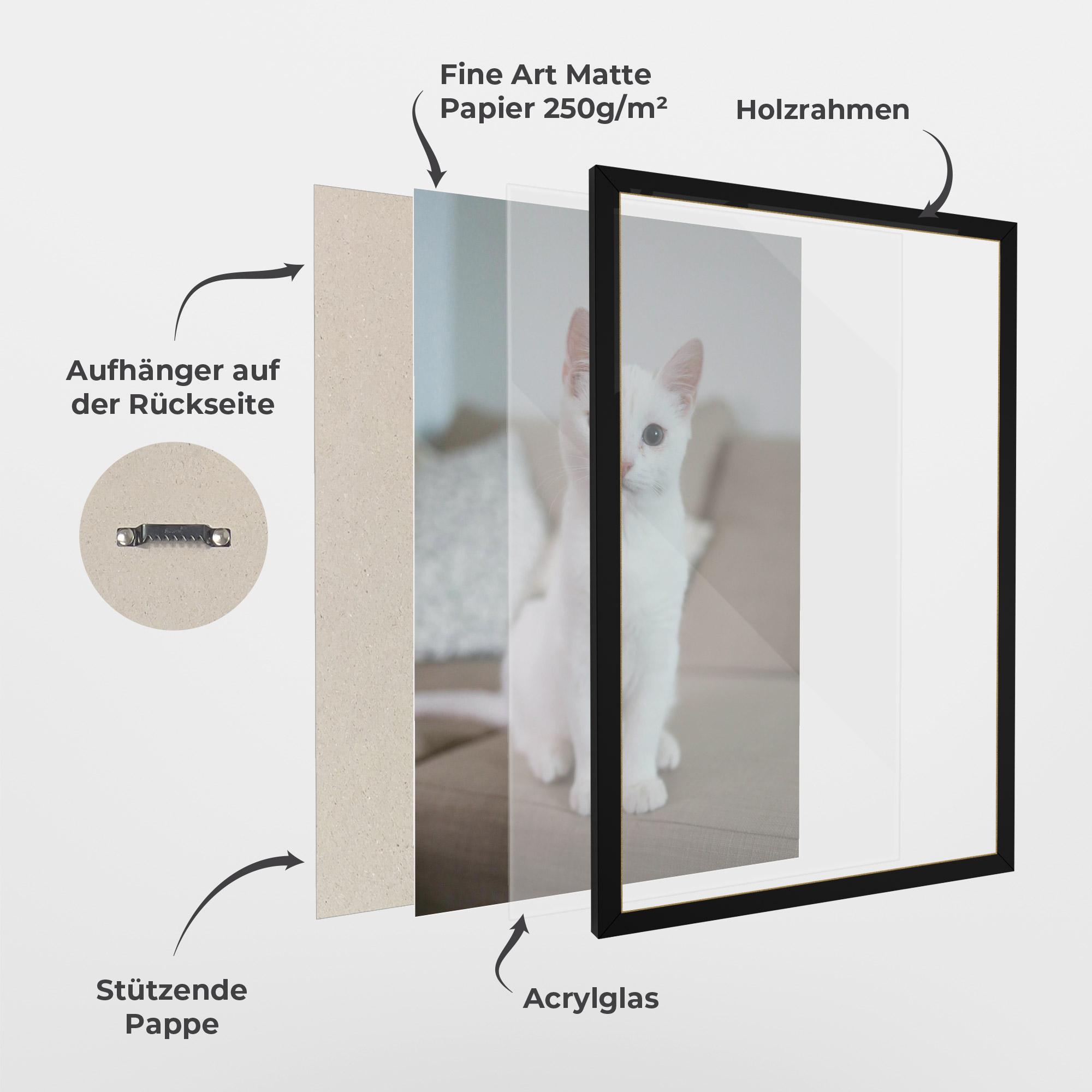 Gerahmte Poster Beautiful White Cat mockup 1