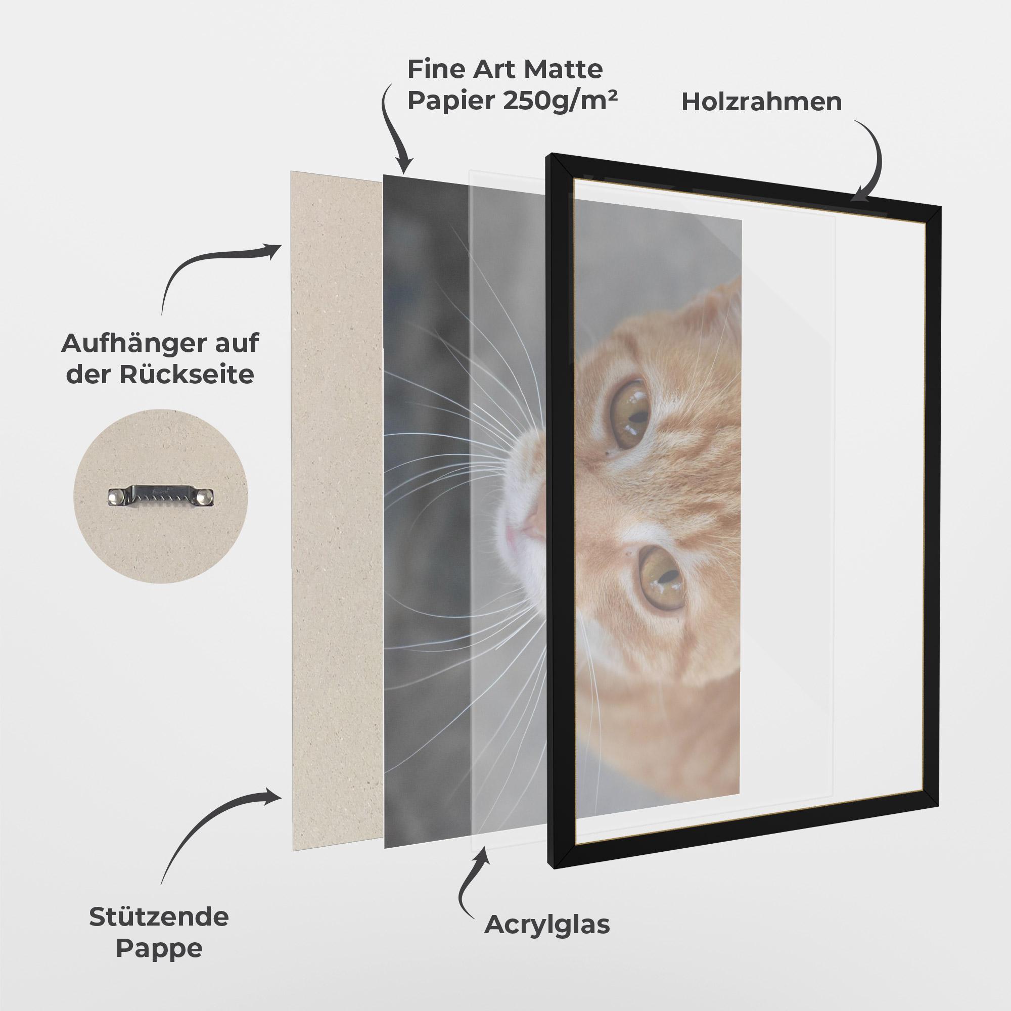 Gerahmte Poster Pretty Orange Eyes Cat mockup 1