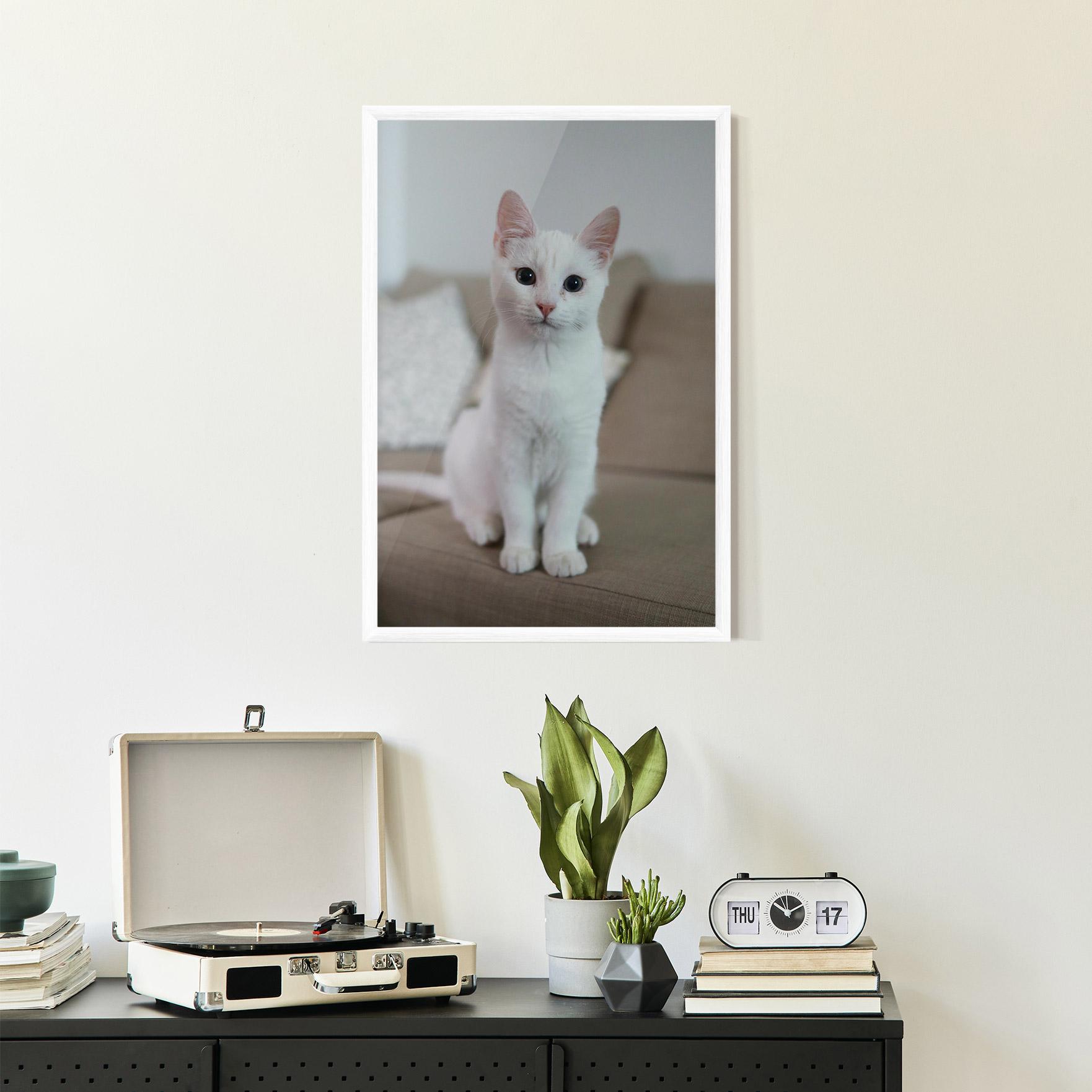 Gerahmte Poster Beautiful White Cat mockup 2