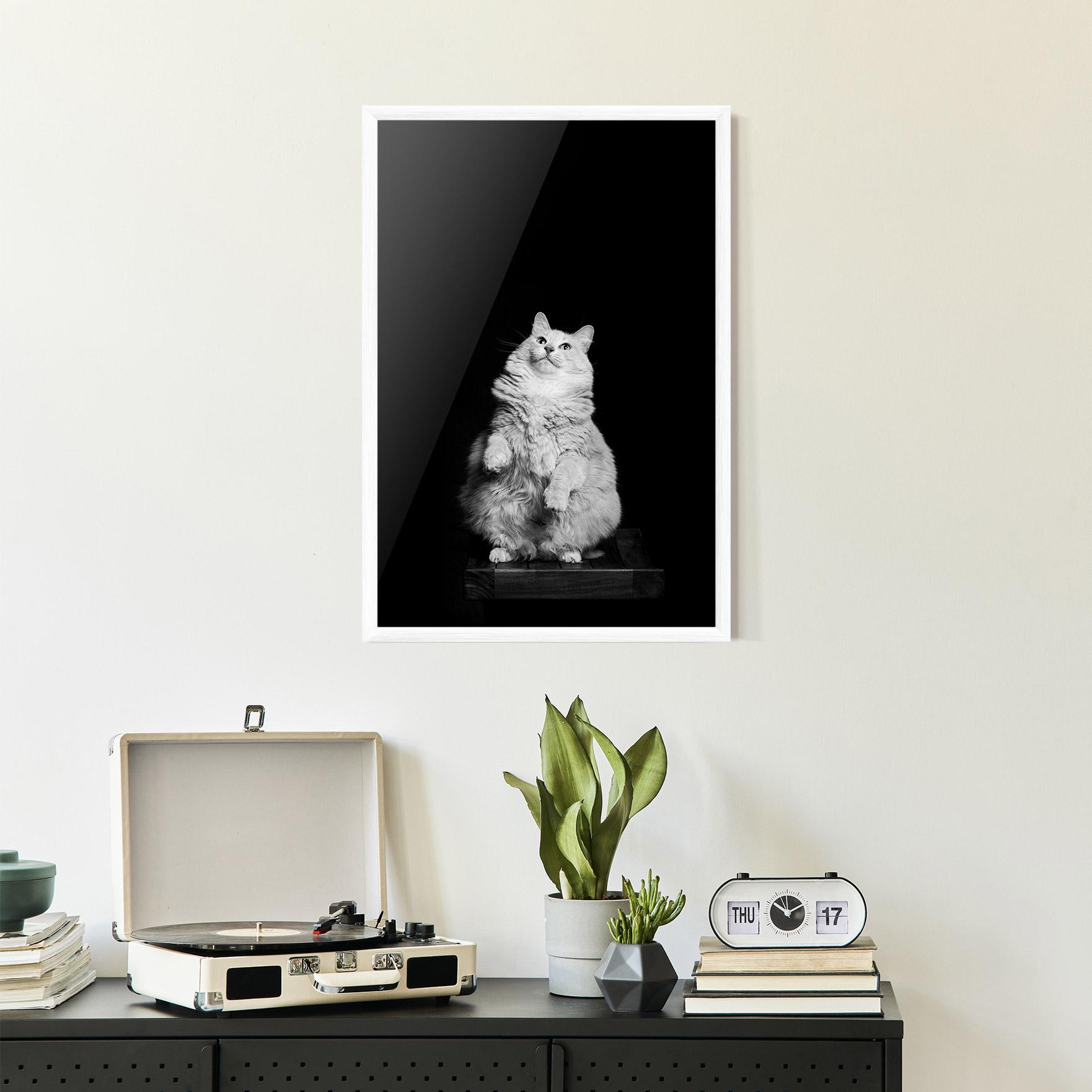 Gerahmte Poster Big Fluffy Cat mockup 2