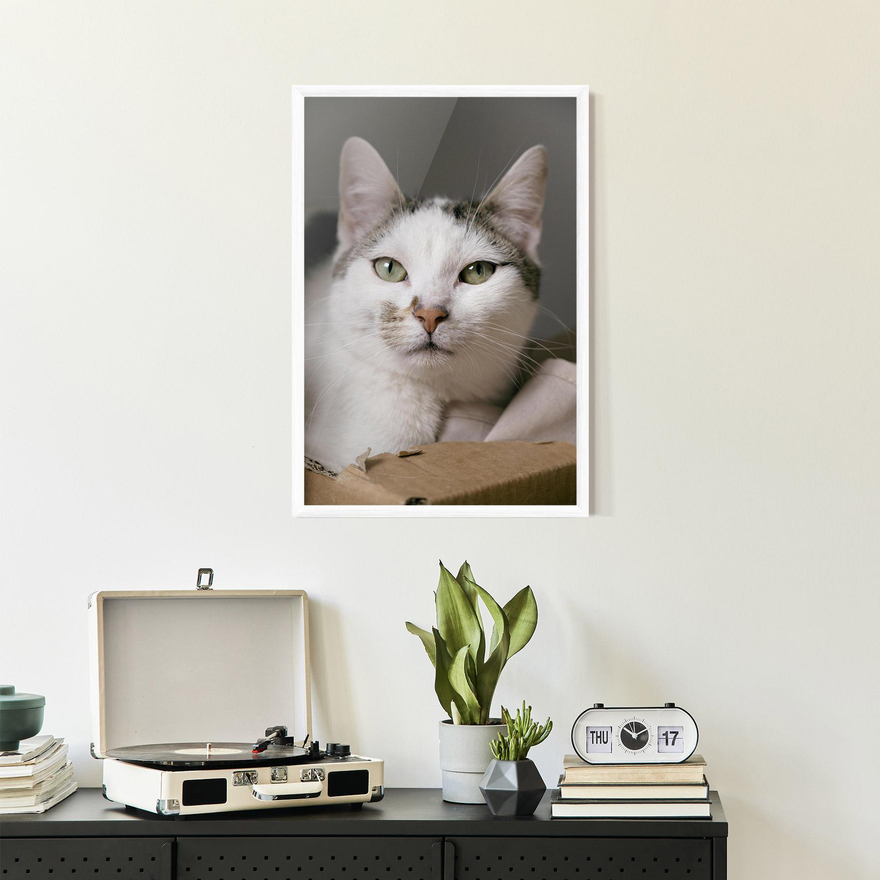 Gerahmte Poster Big Sleepy Cat mockup 2