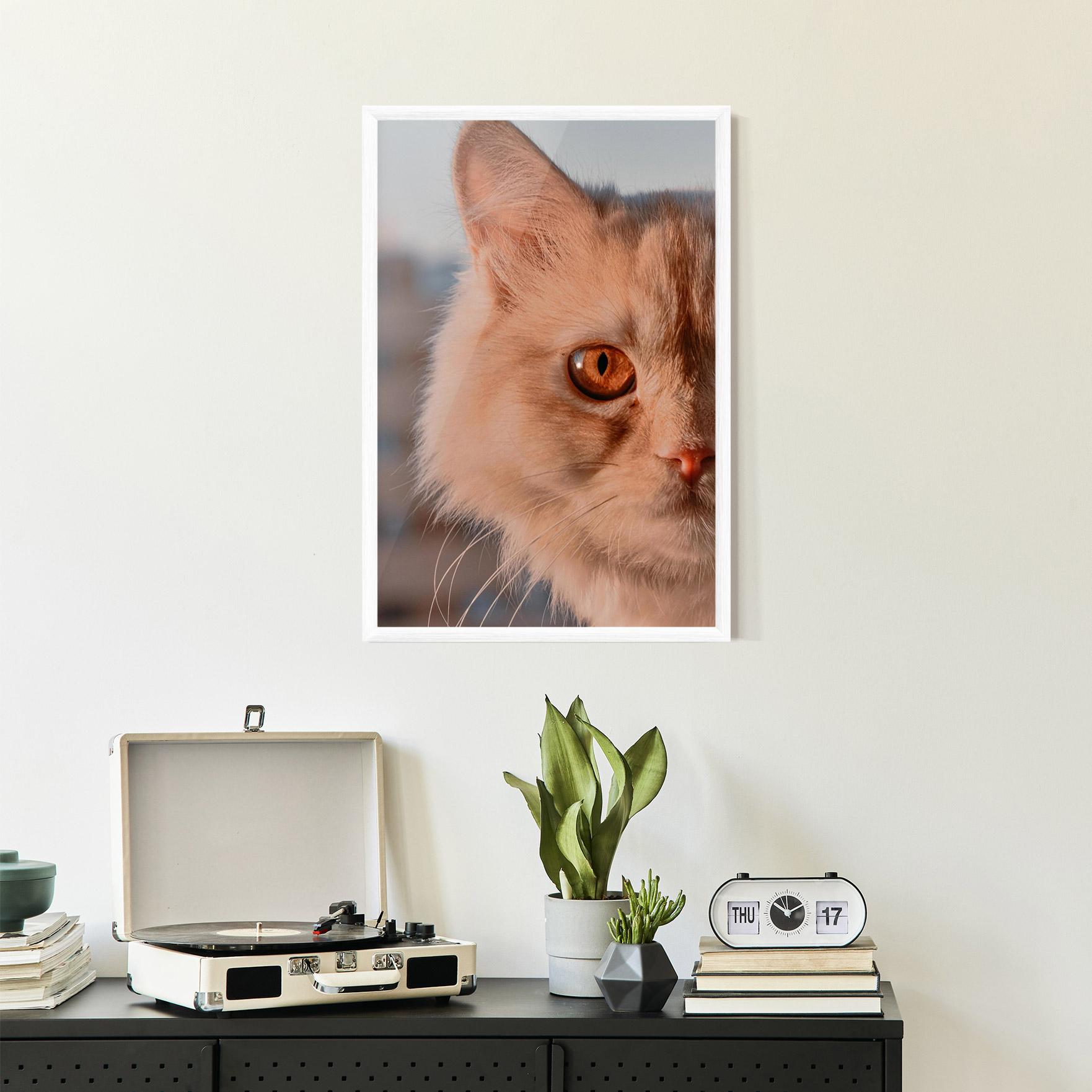 Gerahmte Poster Cat Eye In Sun mockup 2