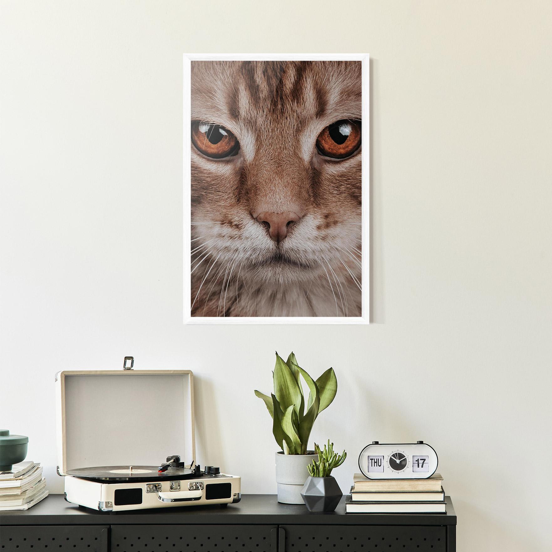 Gerahmte Poster Fire Eyes Cat mockup 2