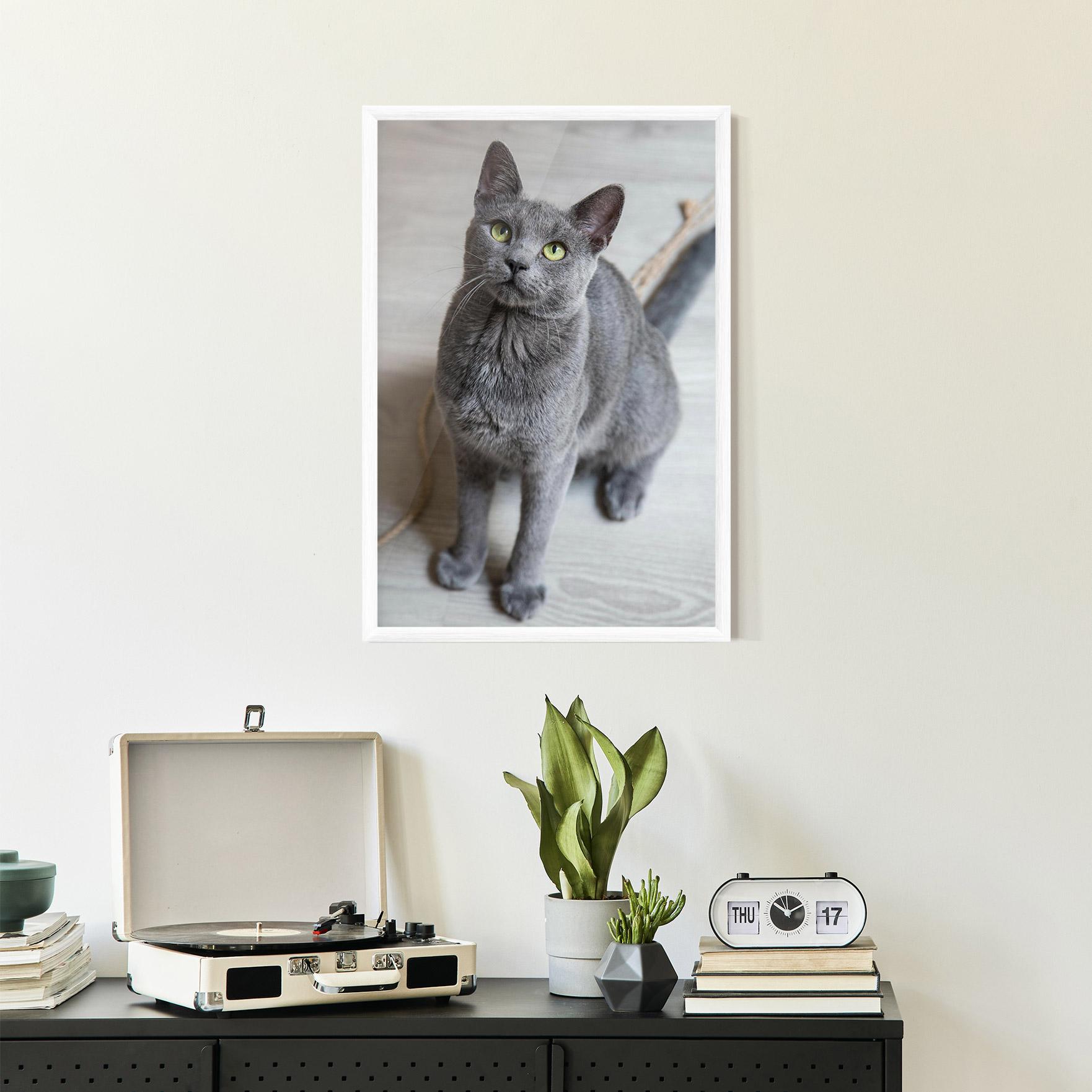 Gerahmte Poster Grey Green Cat Eyes mockup 2