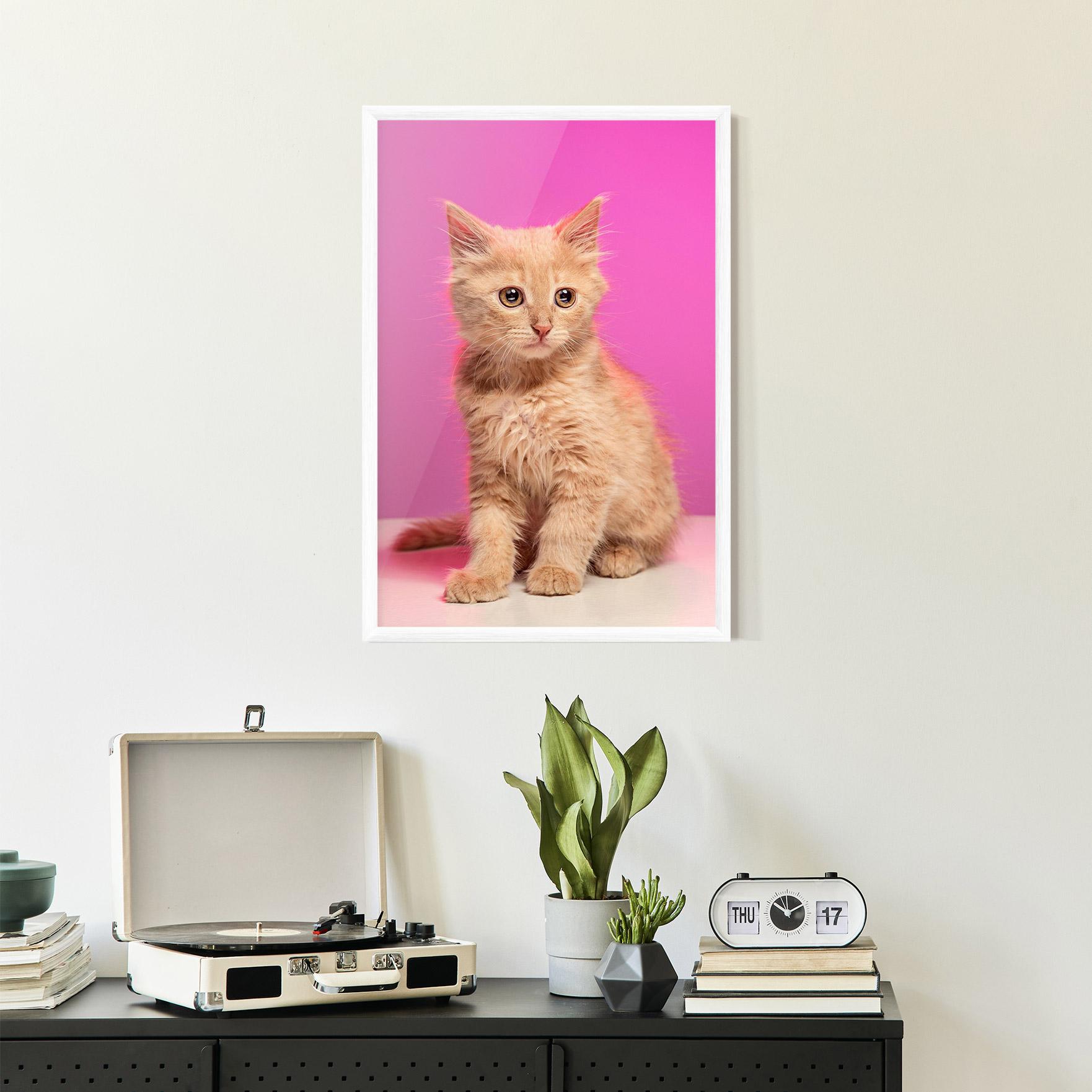 Gerahmte Poster Orange Cat On Pink mockup 2
