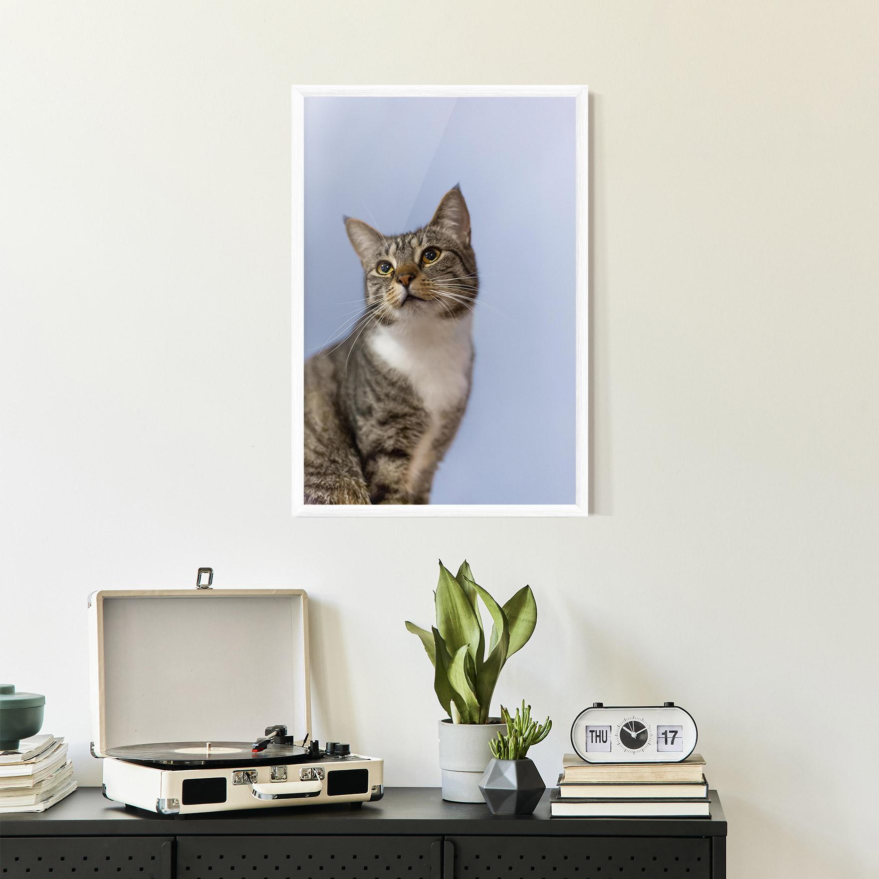 Gerahmte Poster Yellow Eyes Cat mockup 2