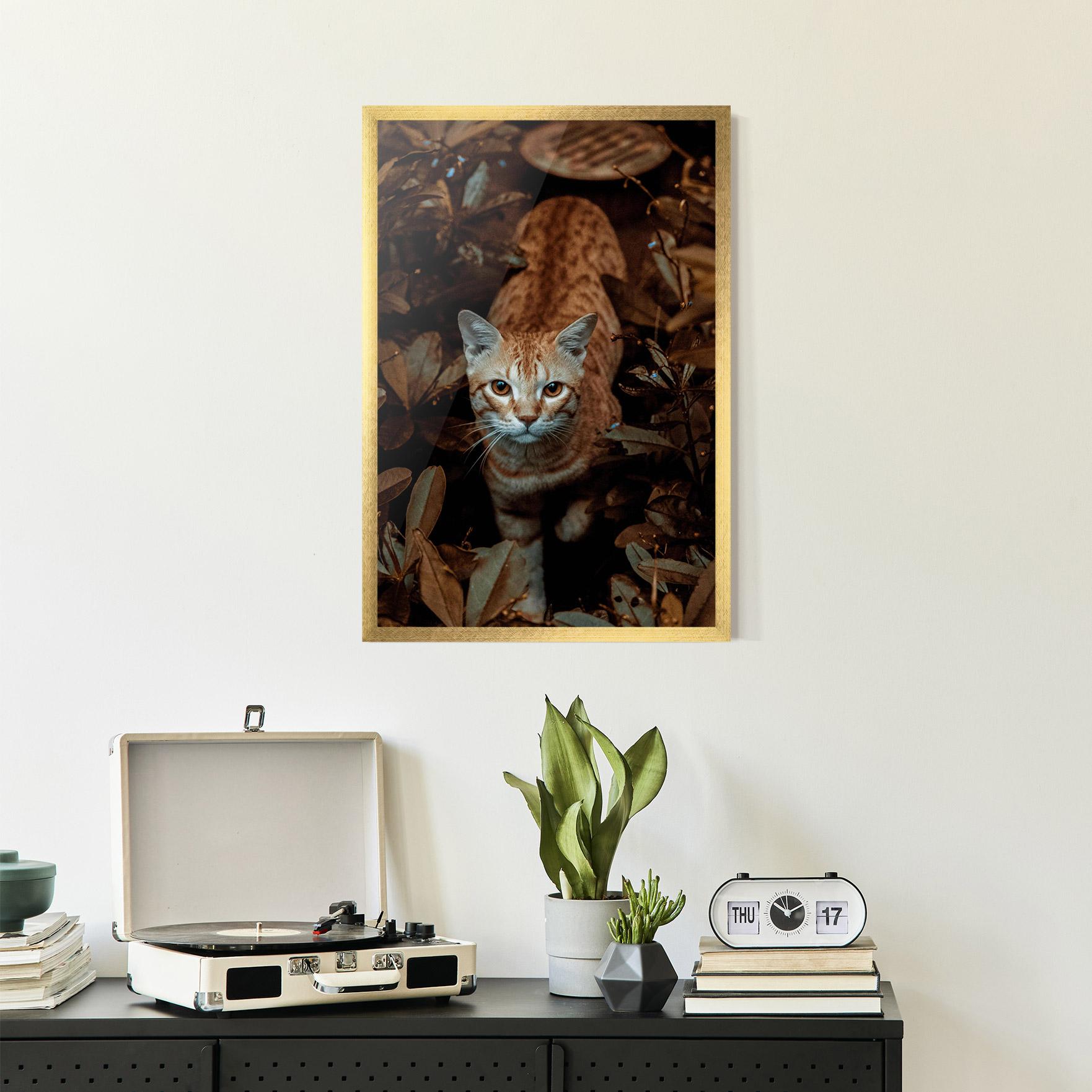 Gerahmte Poster Autumn Orange Cat mockup 2