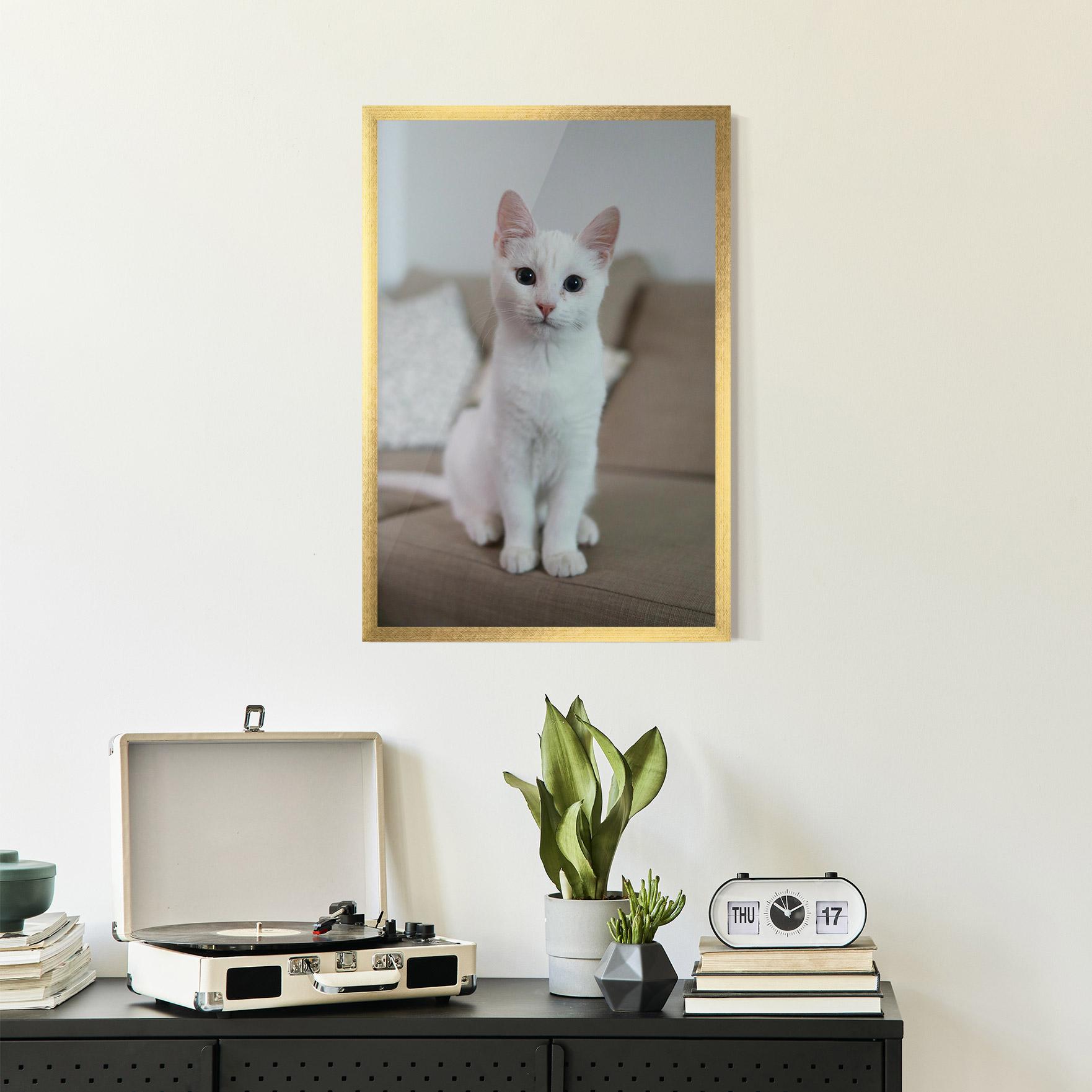 Gerahmte Poster Beautiful White Cat mockup 2