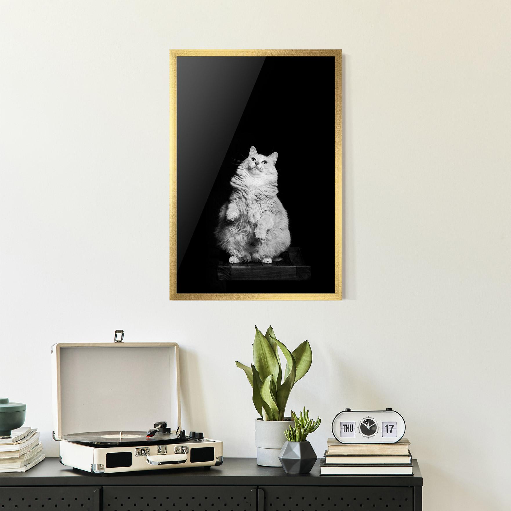 Gerahmte Poster Big Fluffy Cat mockup 2