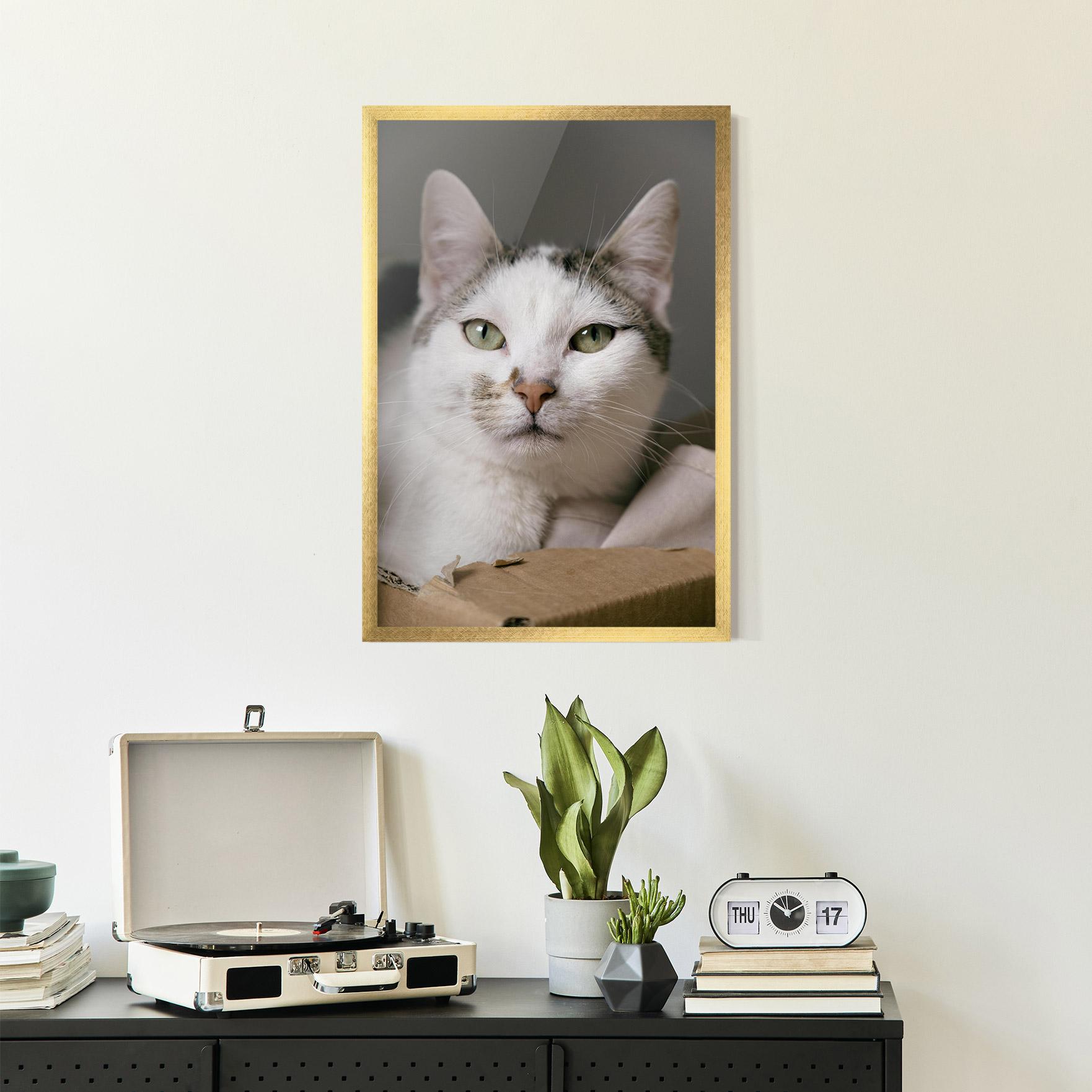 Gerahmte Poster Big Sleepy Cat mockup 2