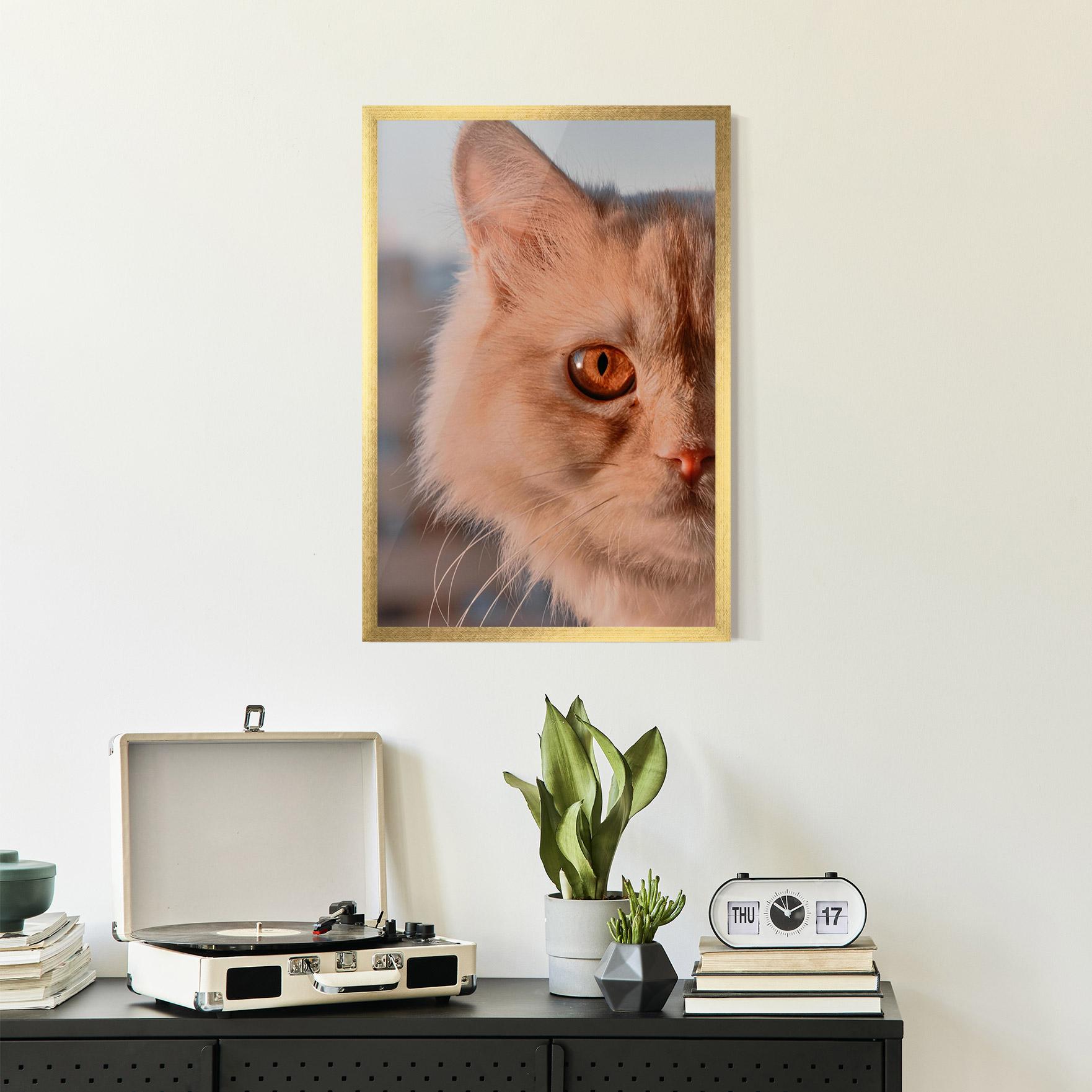 Gerahmte Poster Cat Eye In Sun mockup 2