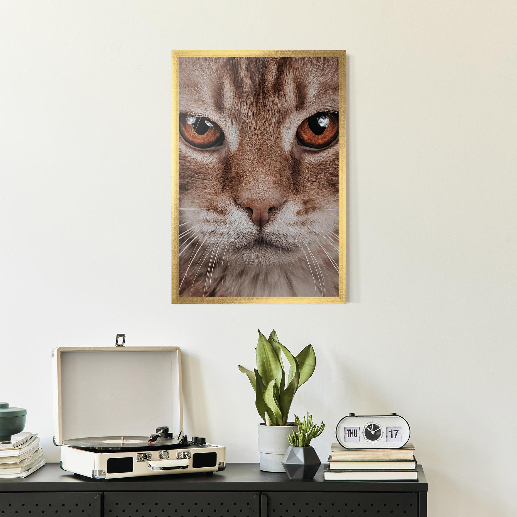 Gerahmte Poster Fire Eyes Cat mockup 2