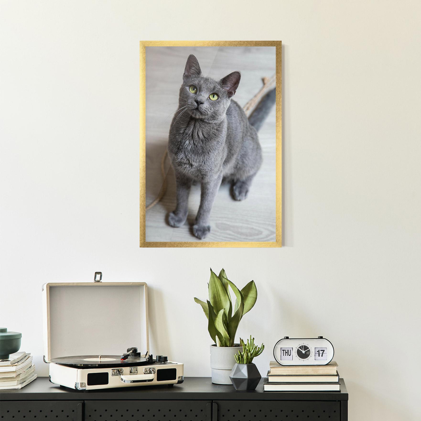 Gerahmte Poster Grey Green Cat Eyes mockup 2