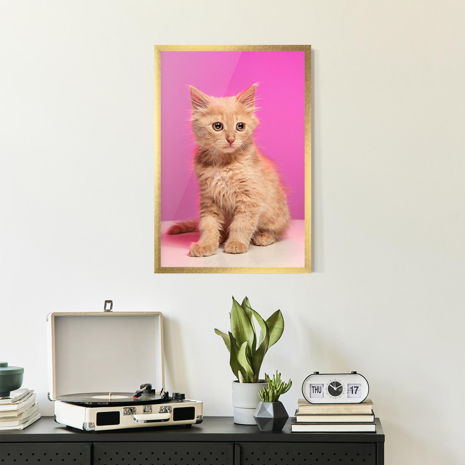 Gerahmte Poster Orange Cat On Pink mockup 2