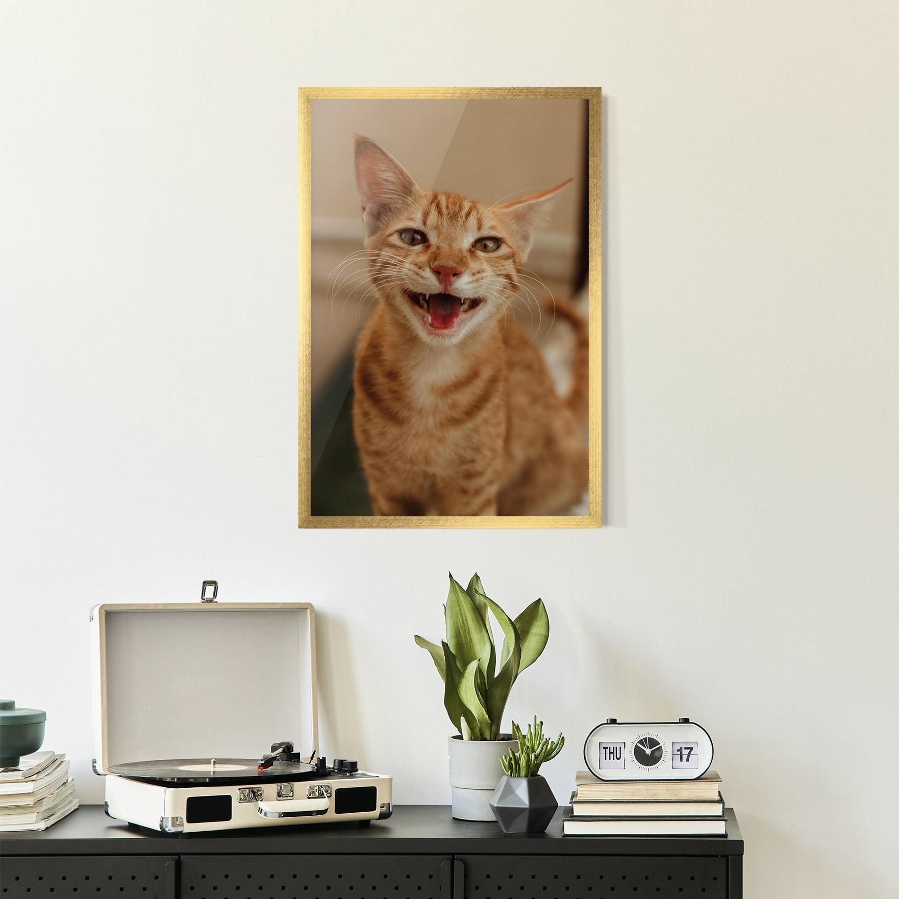 Gerahmte Poster Orange Cat Smiling mockup 2