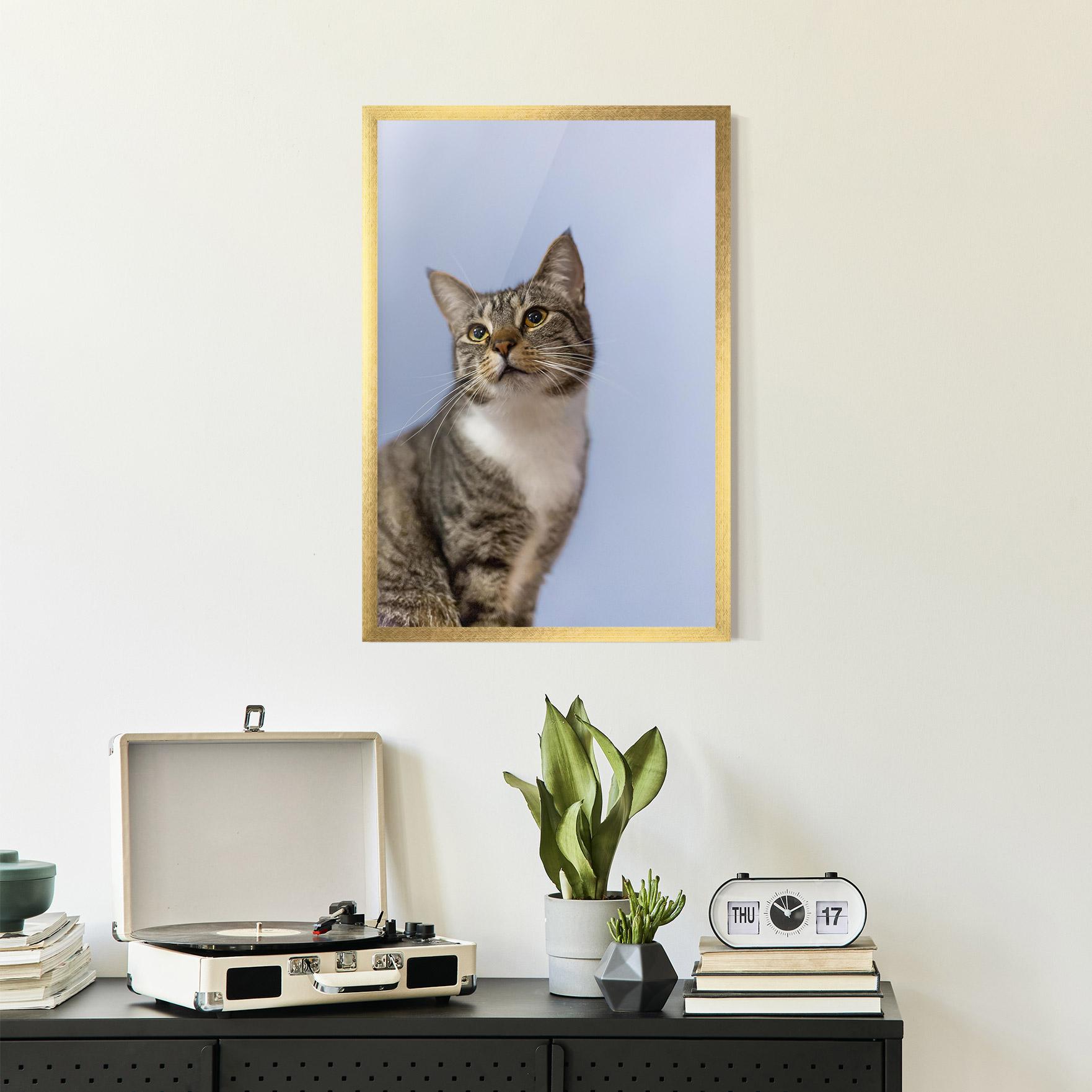 Gerahmte Poster Yellow Eyes Cat mockup 2