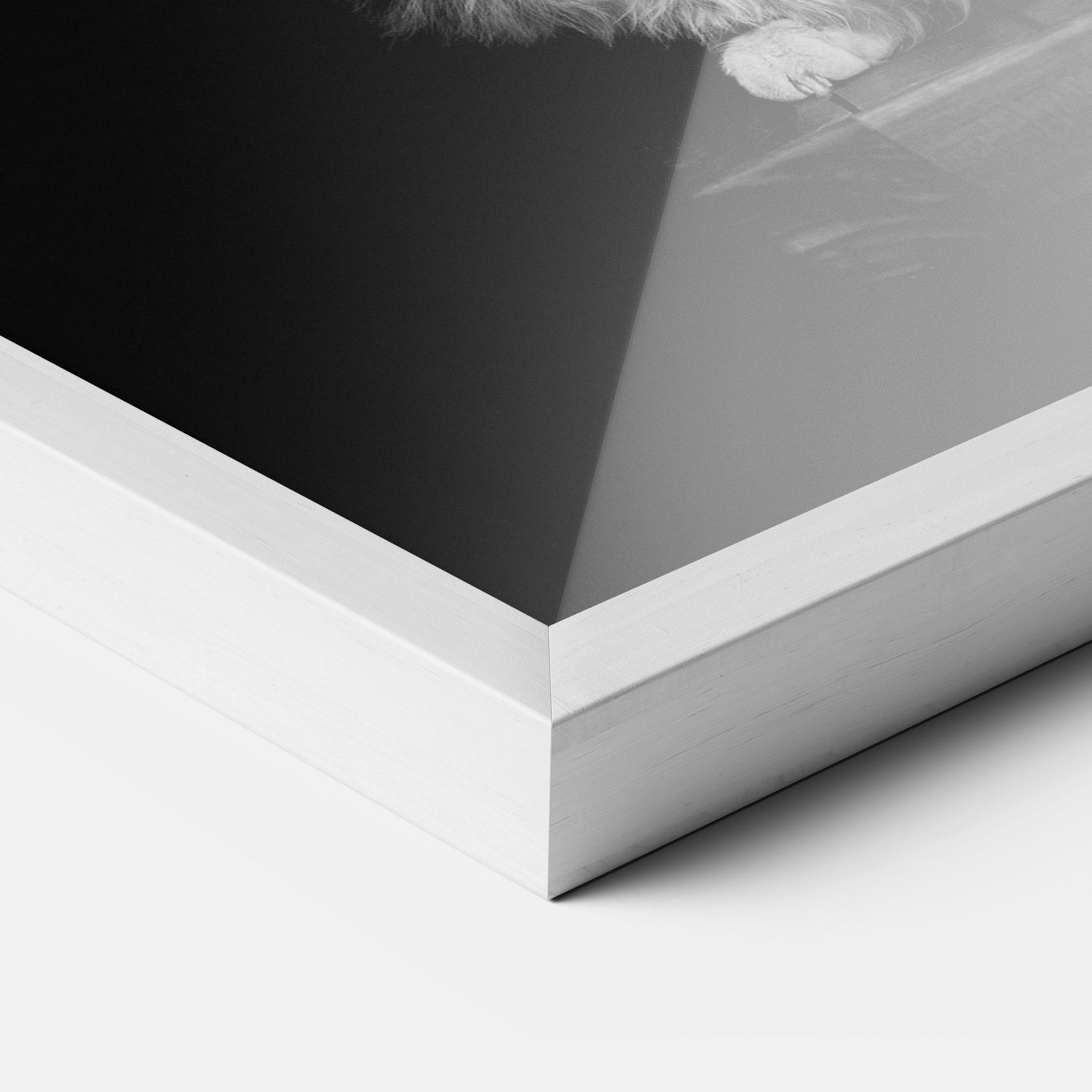 Gerahmte Poster Big Fluffy Cat mockup 3