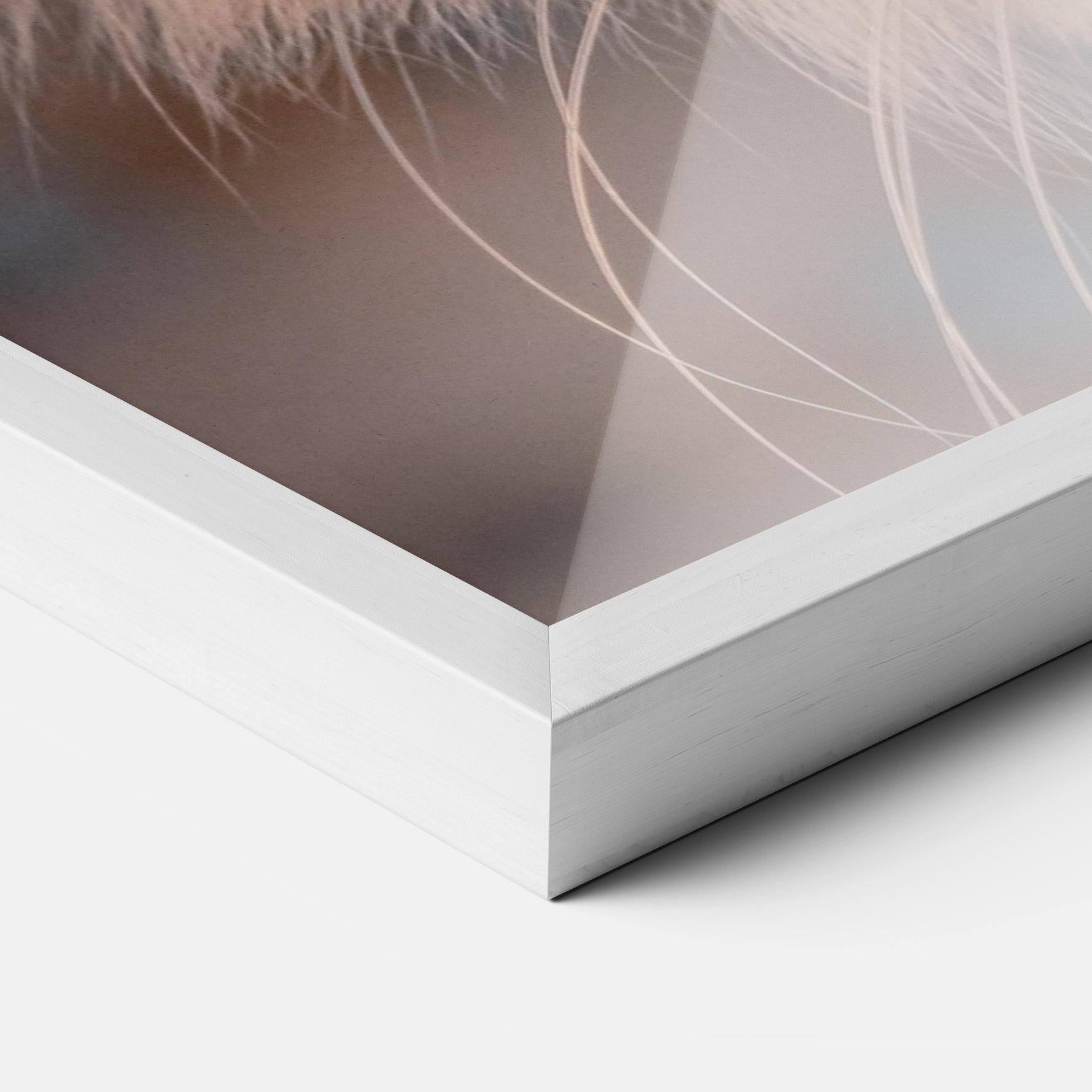 Gerahmte Poster Cat Eye In Sun mockup 3