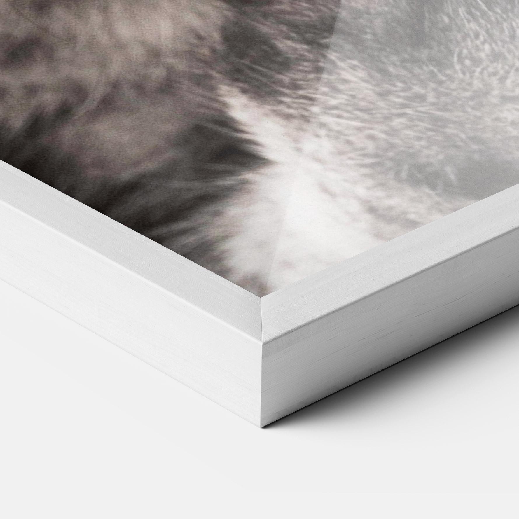 Gerahmte Poster Green Eyes Close Up Cat mockup 3