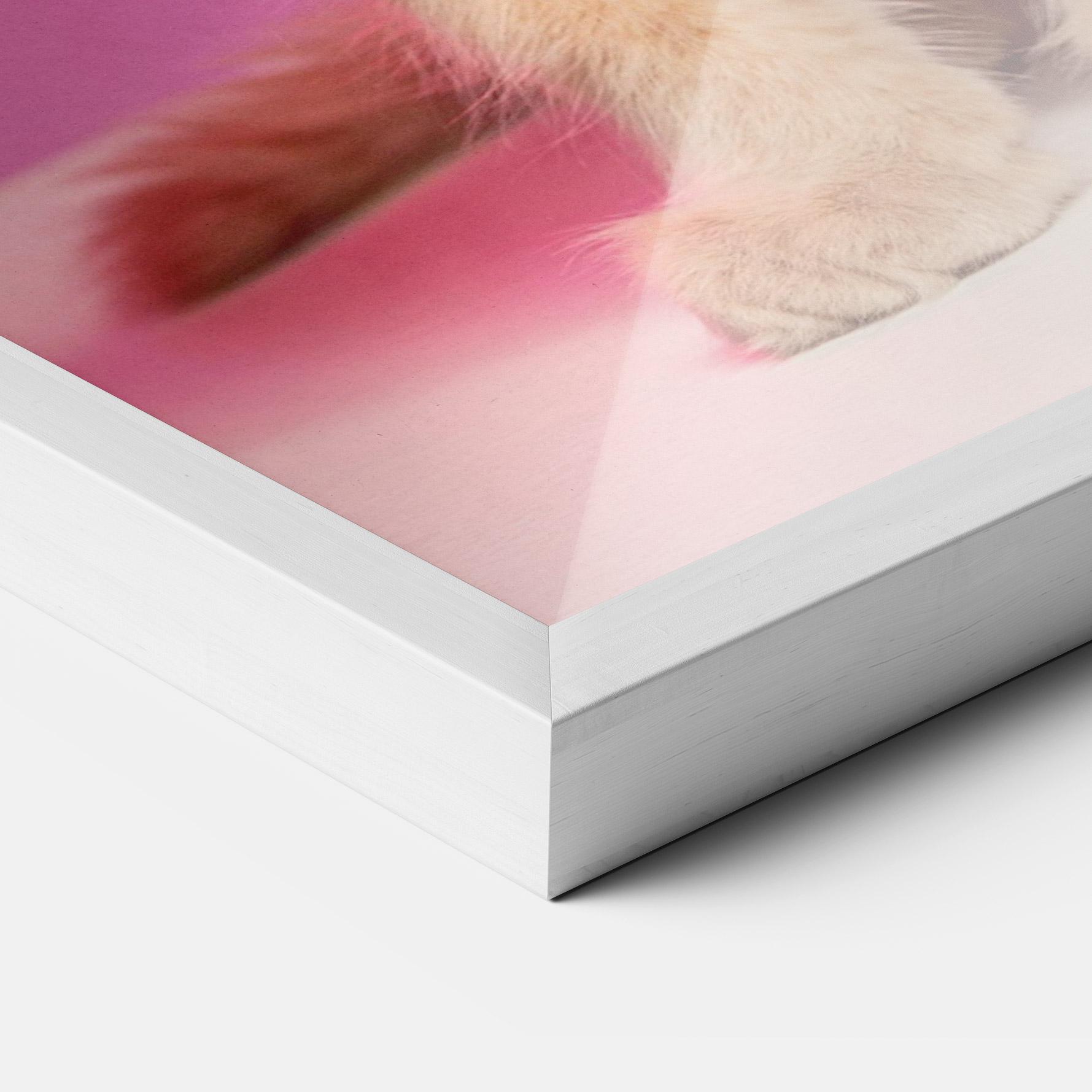 Gerahmte Poster Orange Cat On Pink mockup 3