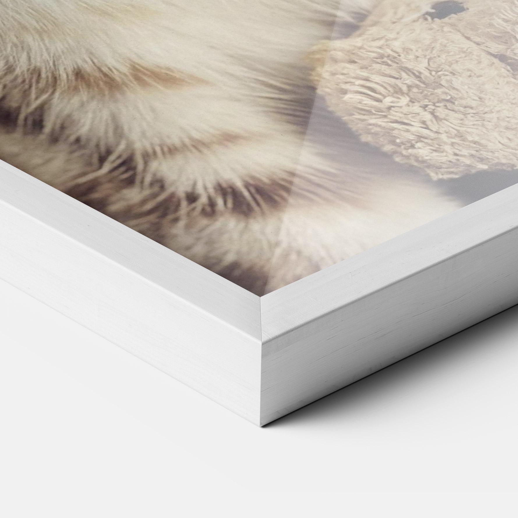 Gerahmte Poster Pretty Blue Eyes Cat mockup 3