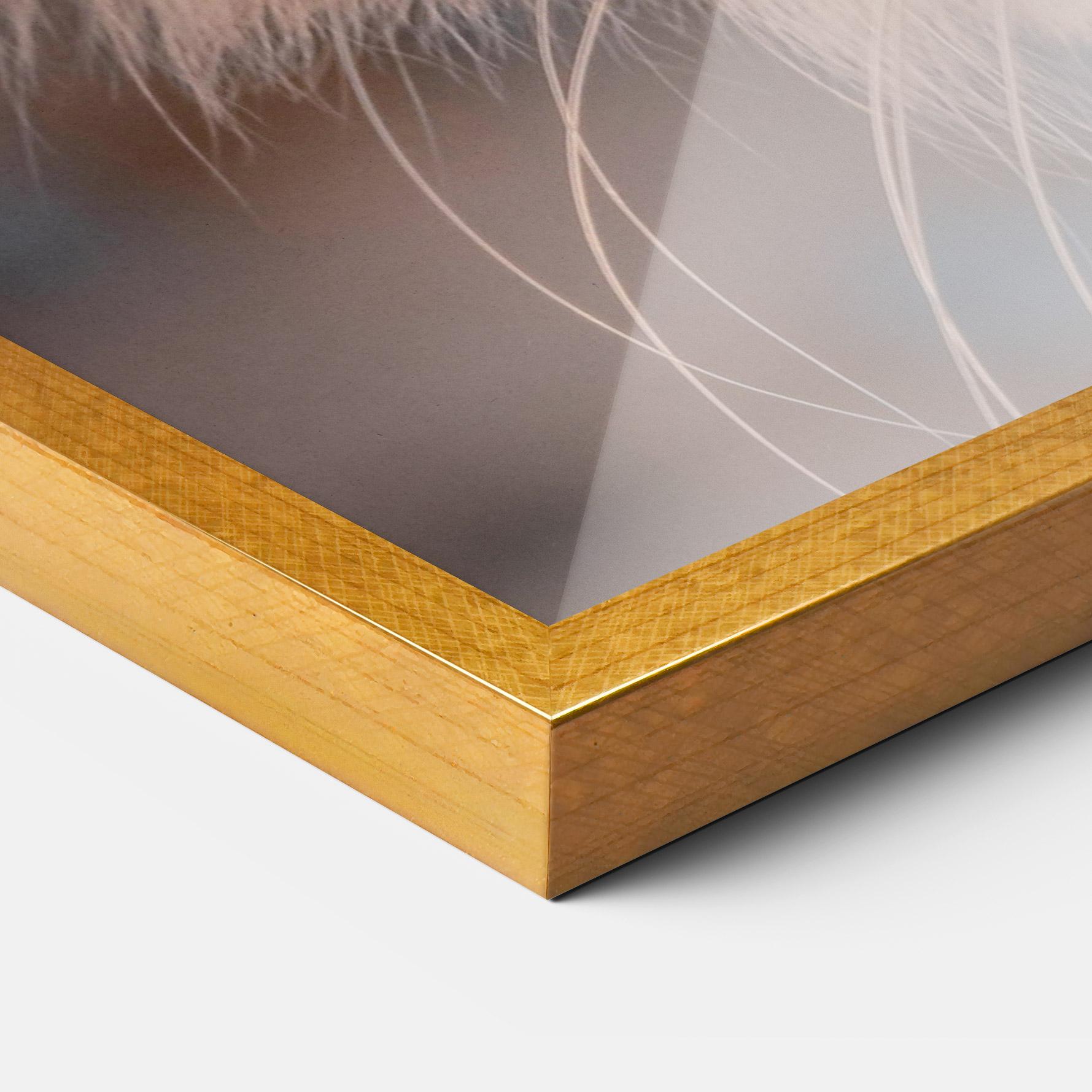 Gerahmte Poster Cat Eye In Sun mockup 3