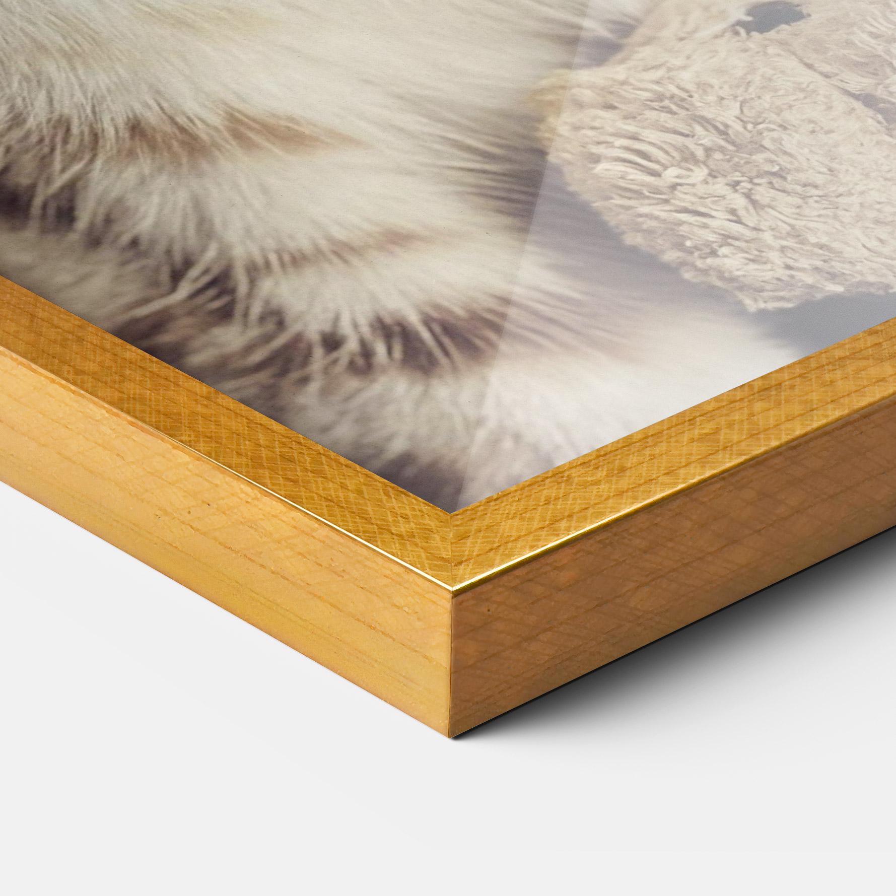 Gerahmte Poster Pretty Blue Eyes Cat mockup 3