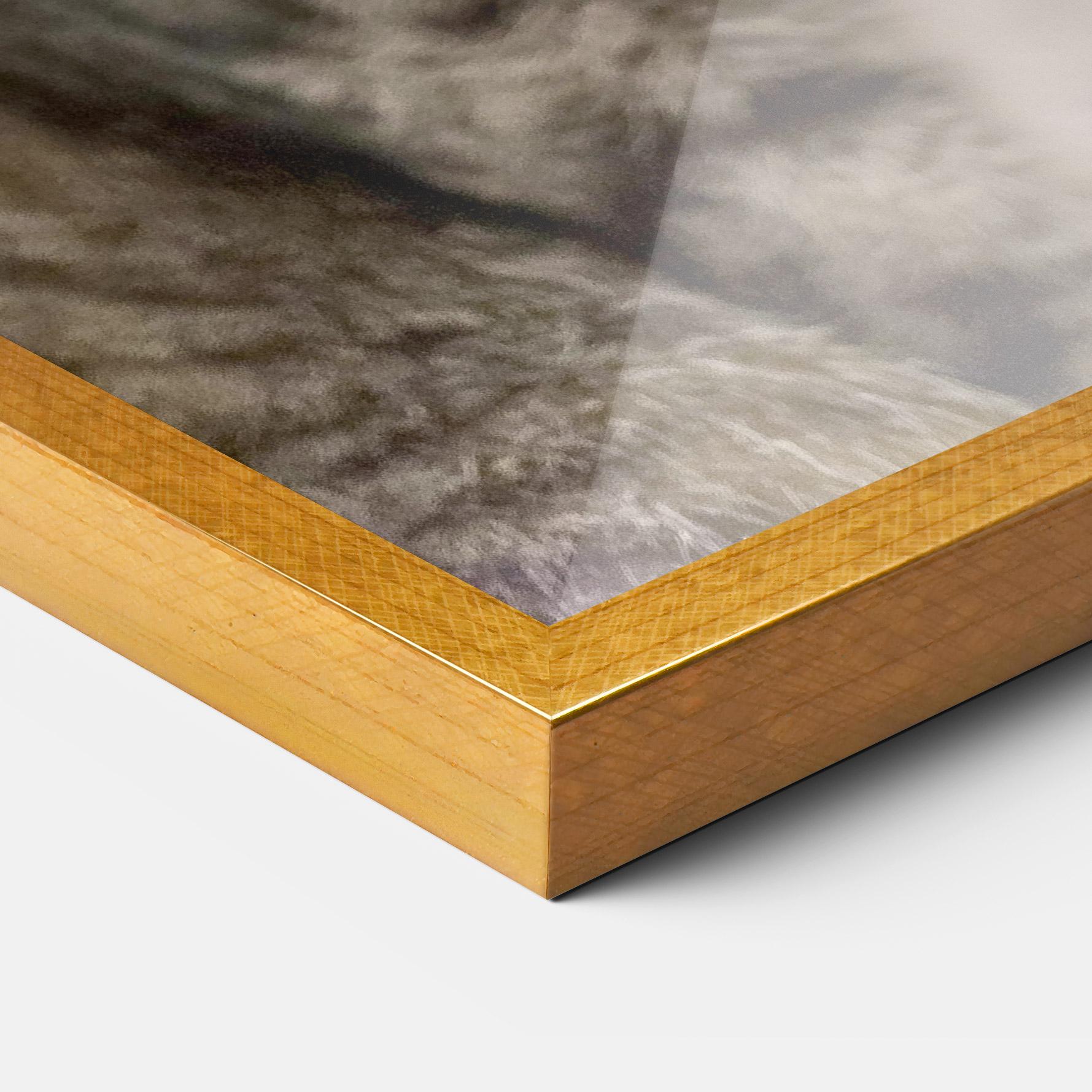 Gerahmte Poster Yellow Eyes Cat mockup 3