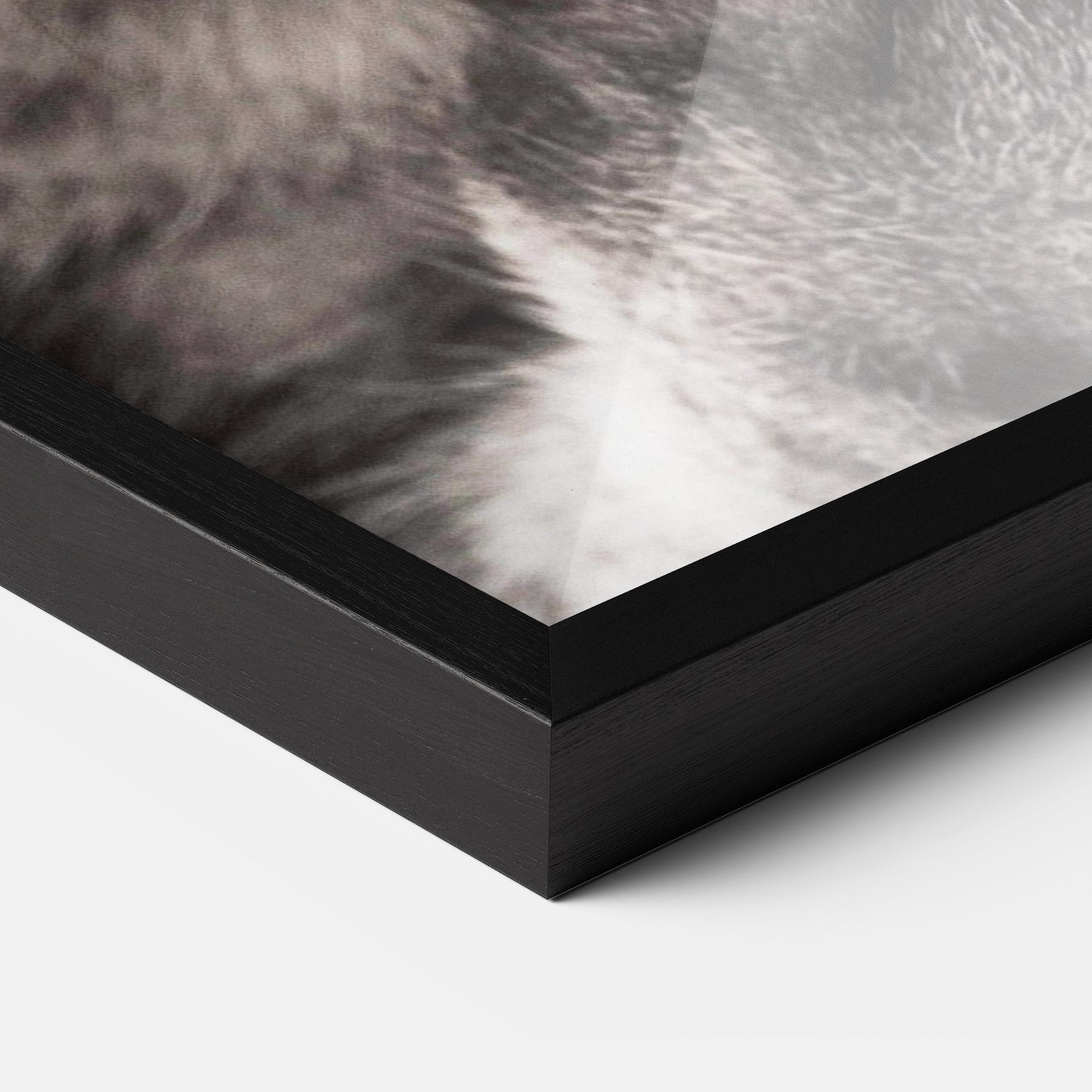 Gerahmte Poster Green Eyes Close Up Cat mockup 3