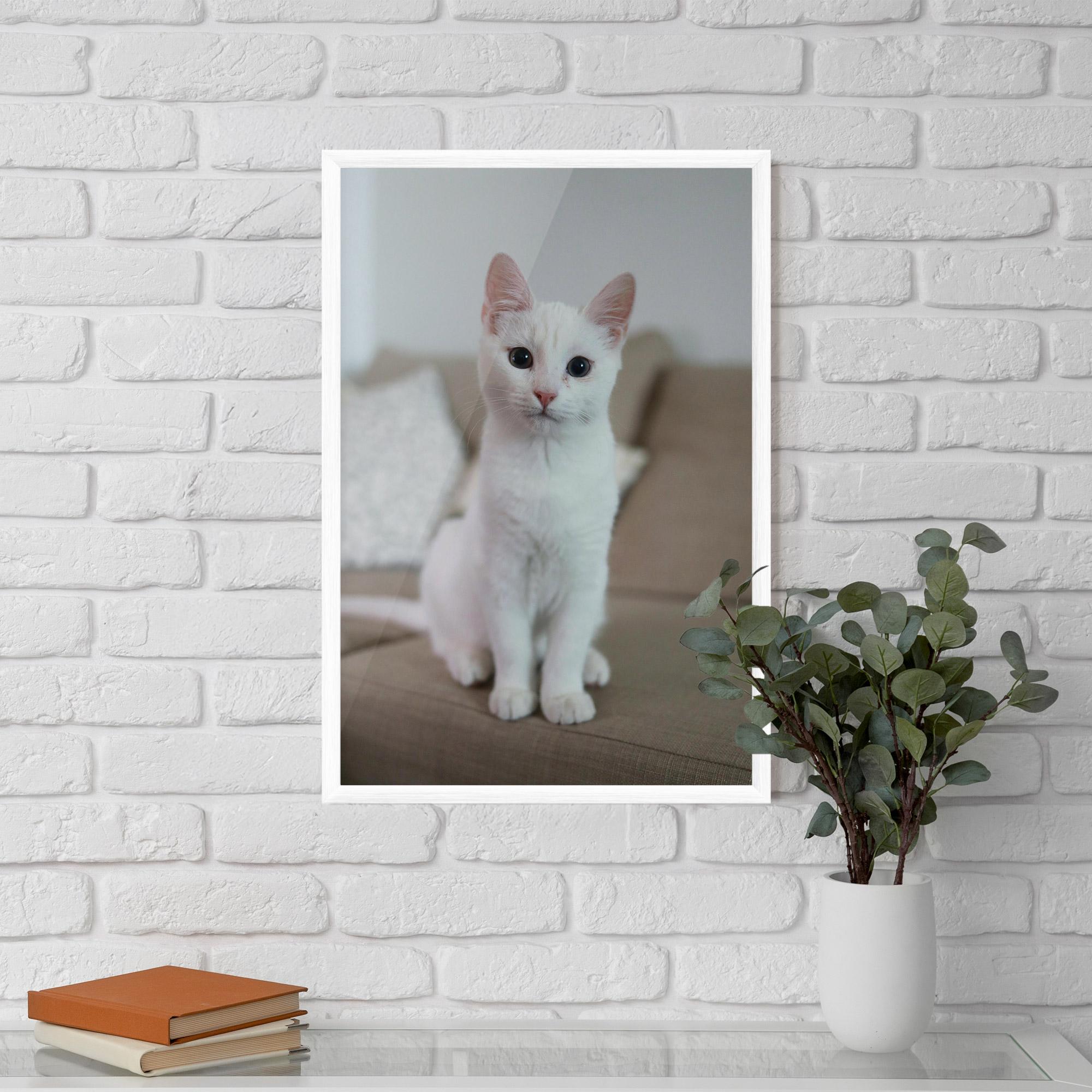 Gerahmte Poster Beautiful White Cat mockup 5