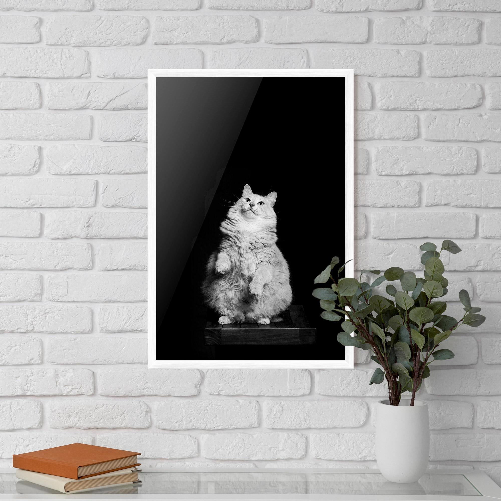 Gerahmte Poster Big Fluffy Cat mockup 5