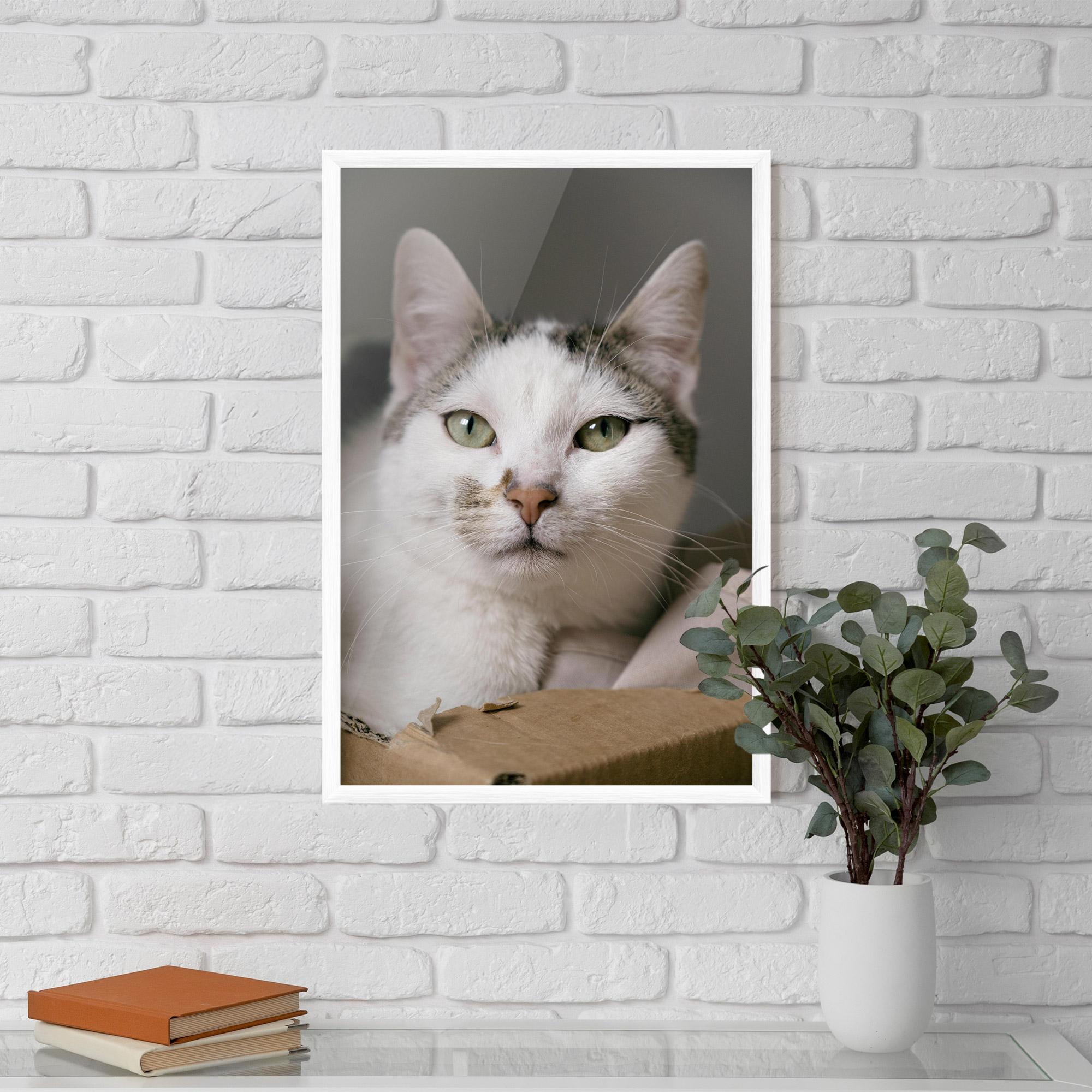 Gerahmte Poster Big Sleepy Cat mockup 5