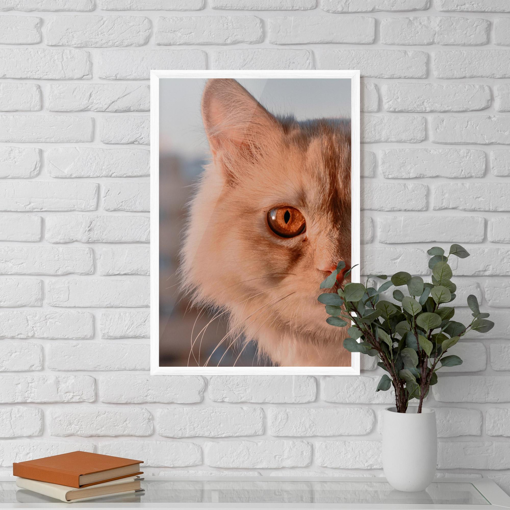 Gerahmte Poster Cat Eye In Sun mockup 5