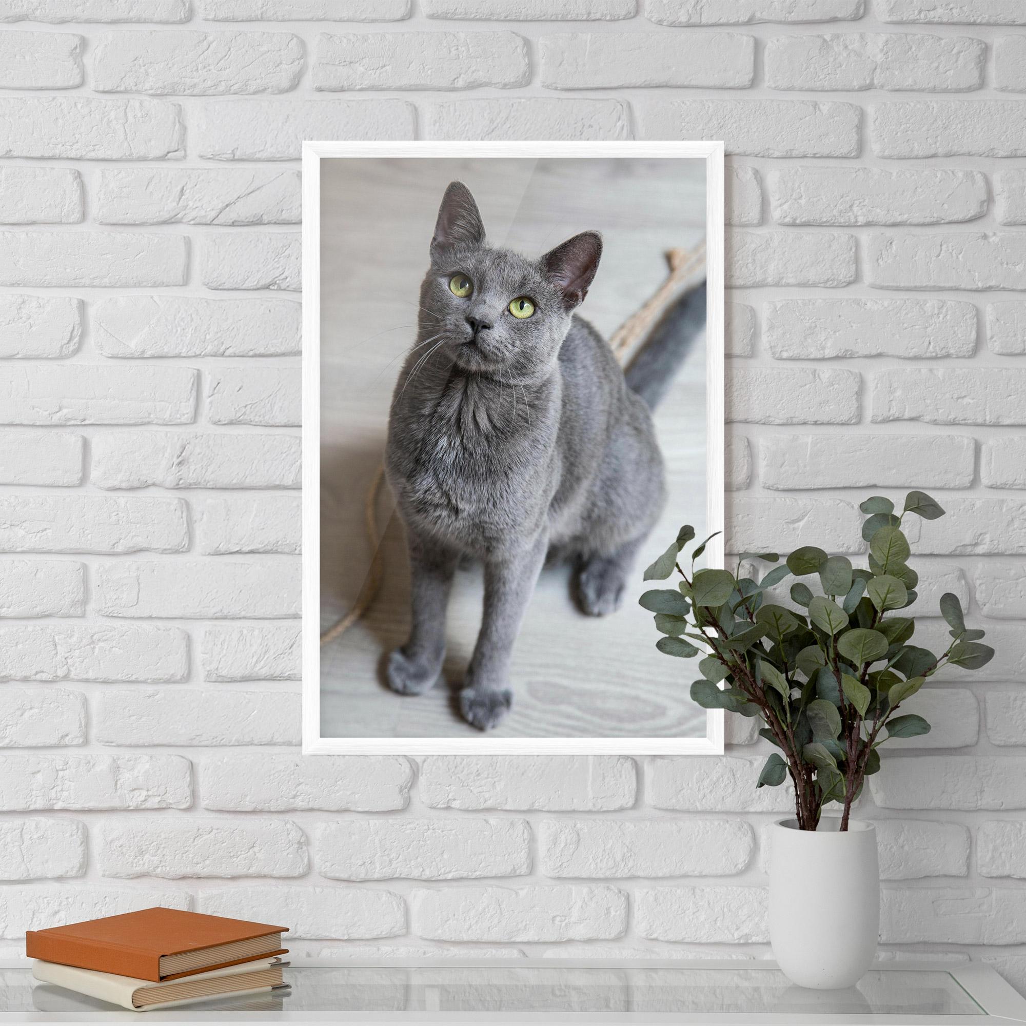 Gerahmte Poster Grey Green Cat Eyes mockup 5