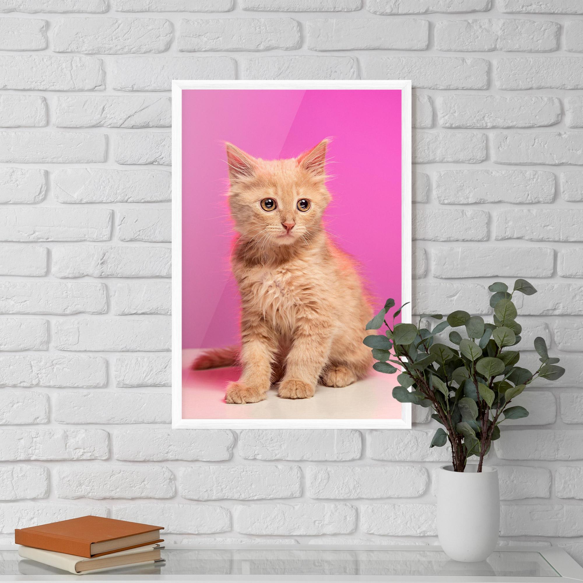 Gerahmte Poster Orange Cat On Pink mockup 5