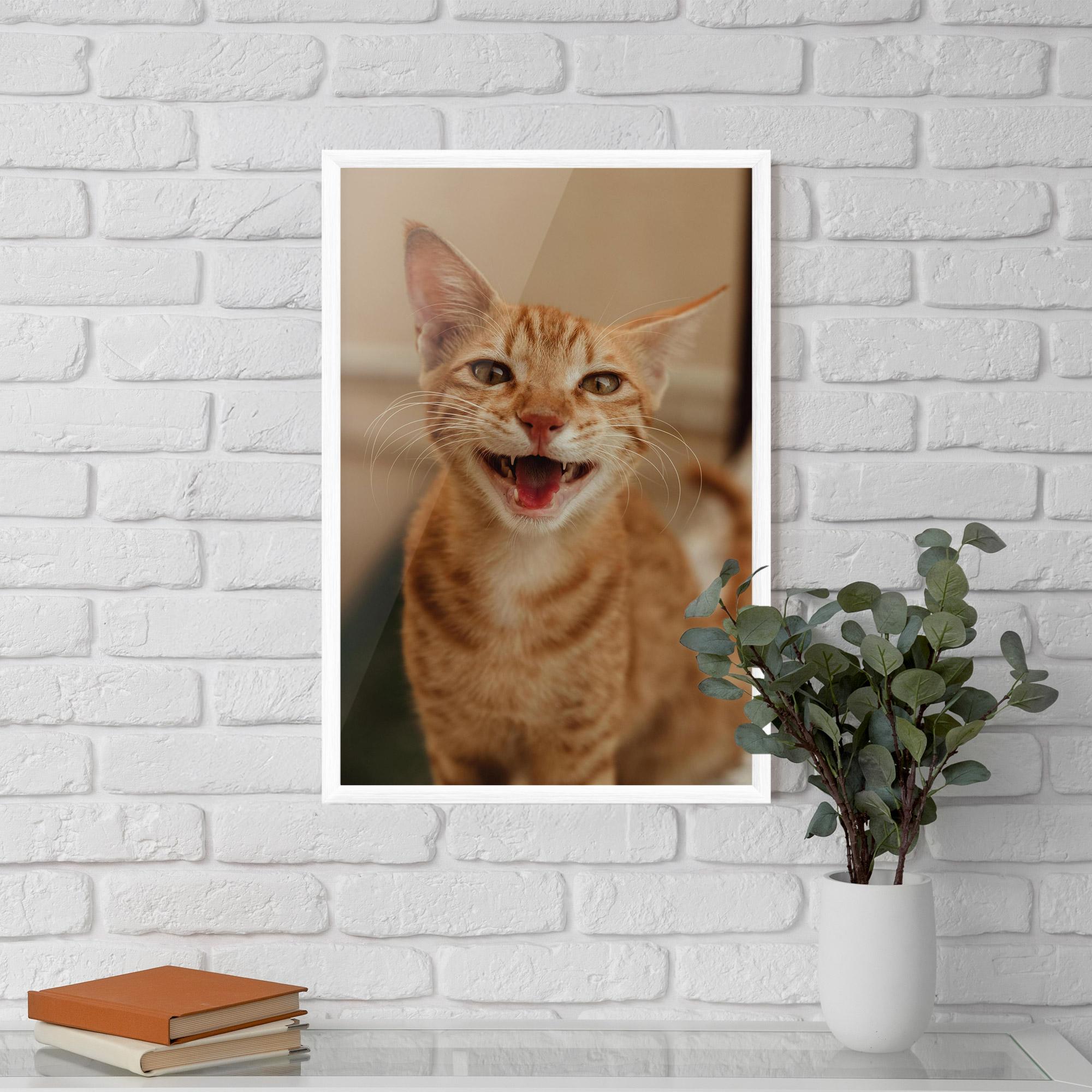Gerahmte Poster Orange Cat Smiling mockup 5