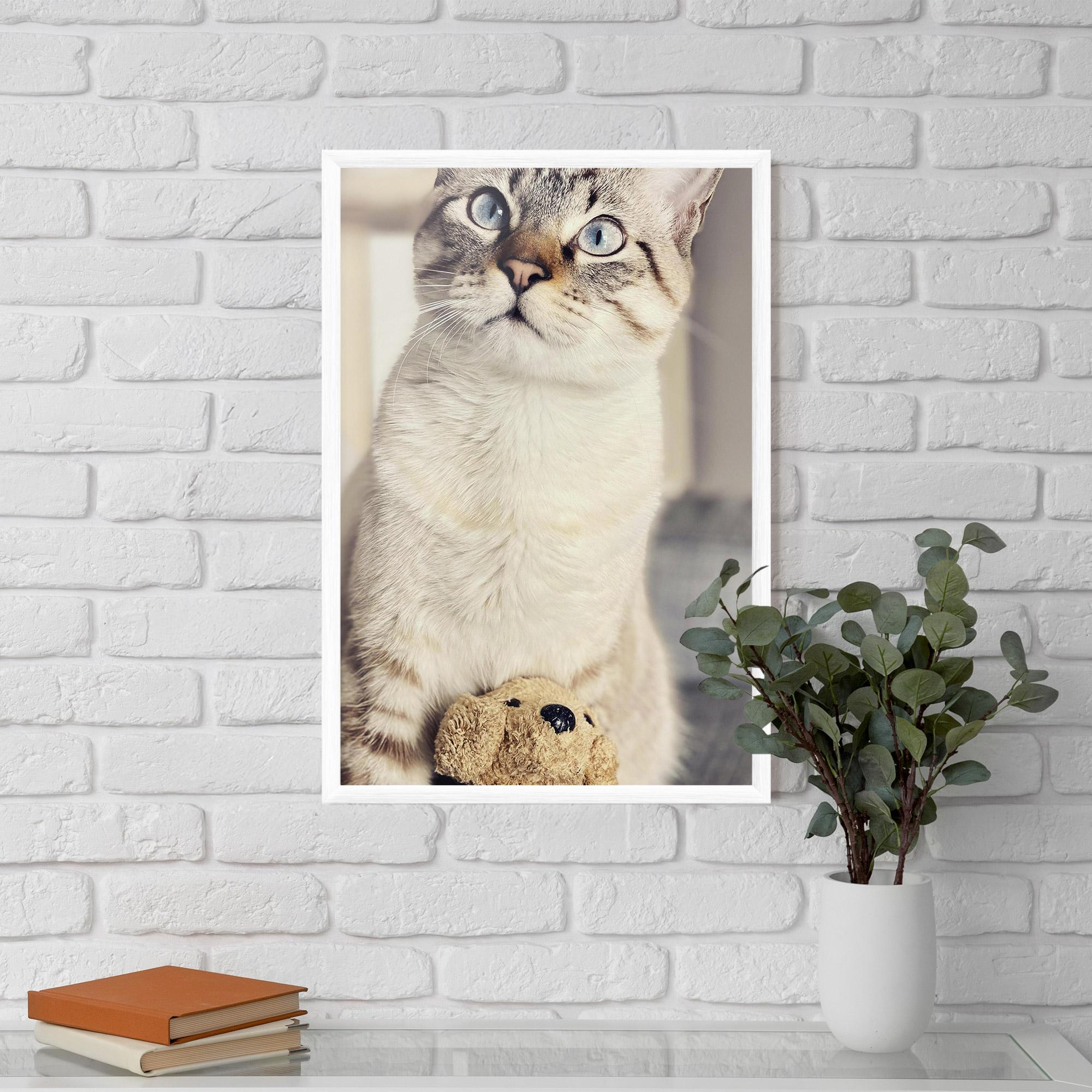 Gerahmte Poster Pretty Blue Eyes Cat mockup 5