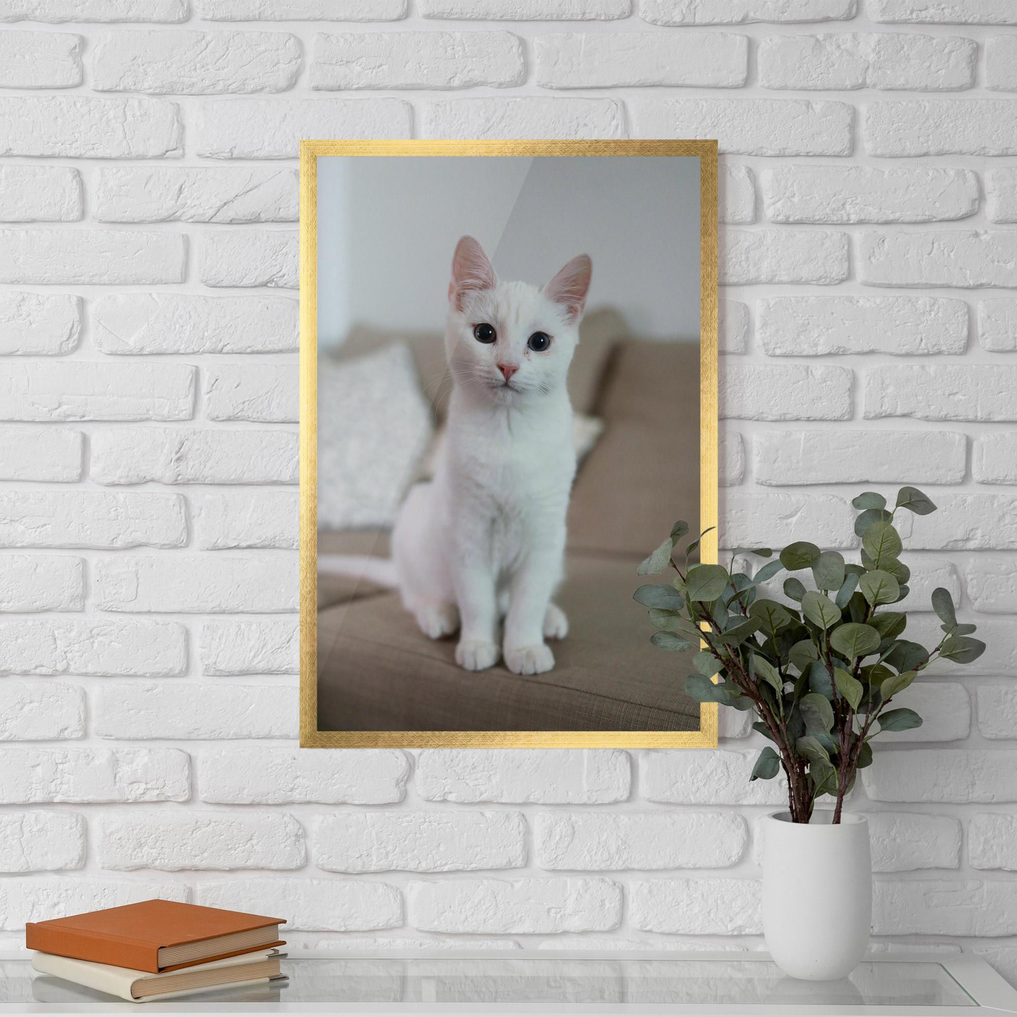 Gerahmte Poster Beautiful White Cat mockup 5