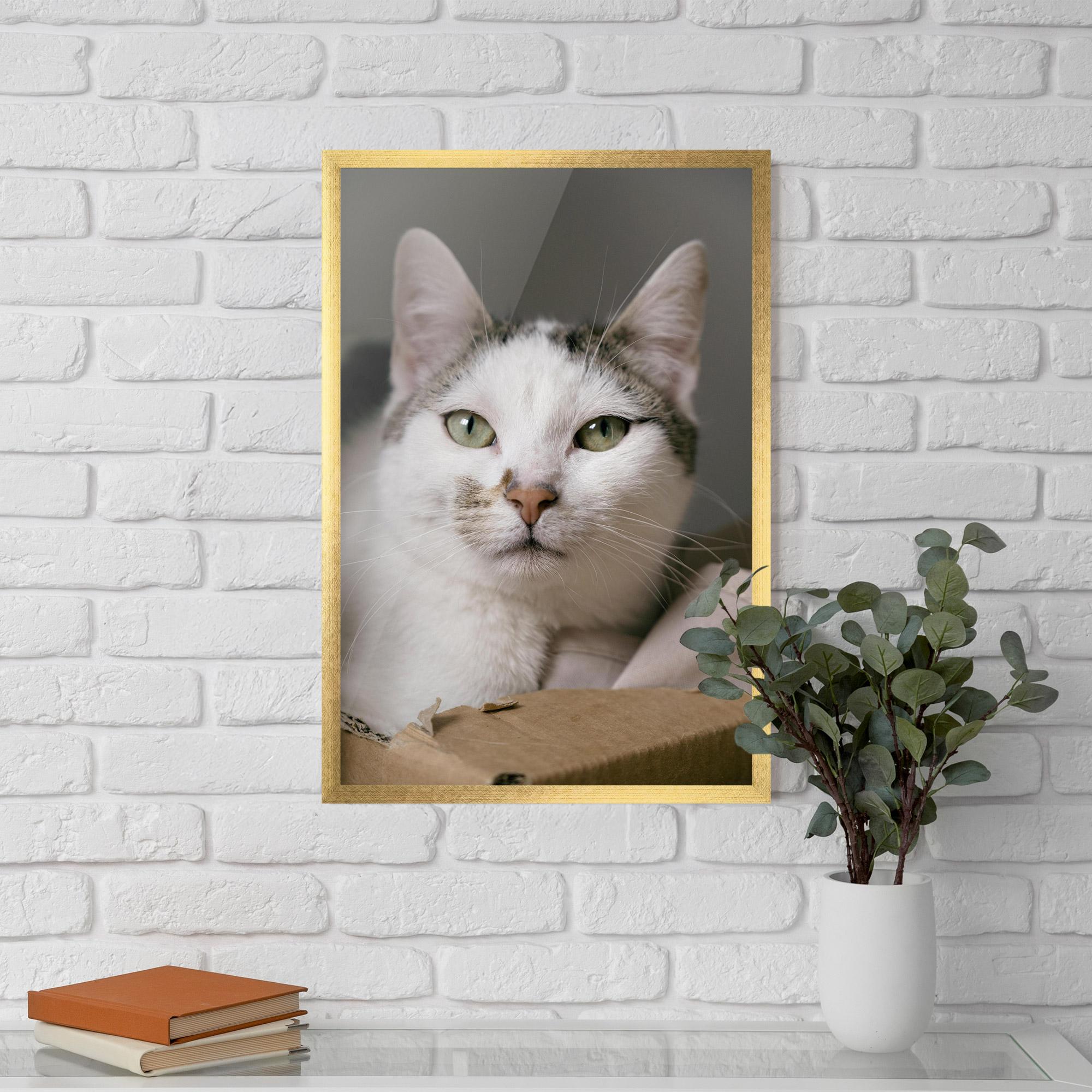 Gerahmte Poster Big Sleepy Cat mockup 5