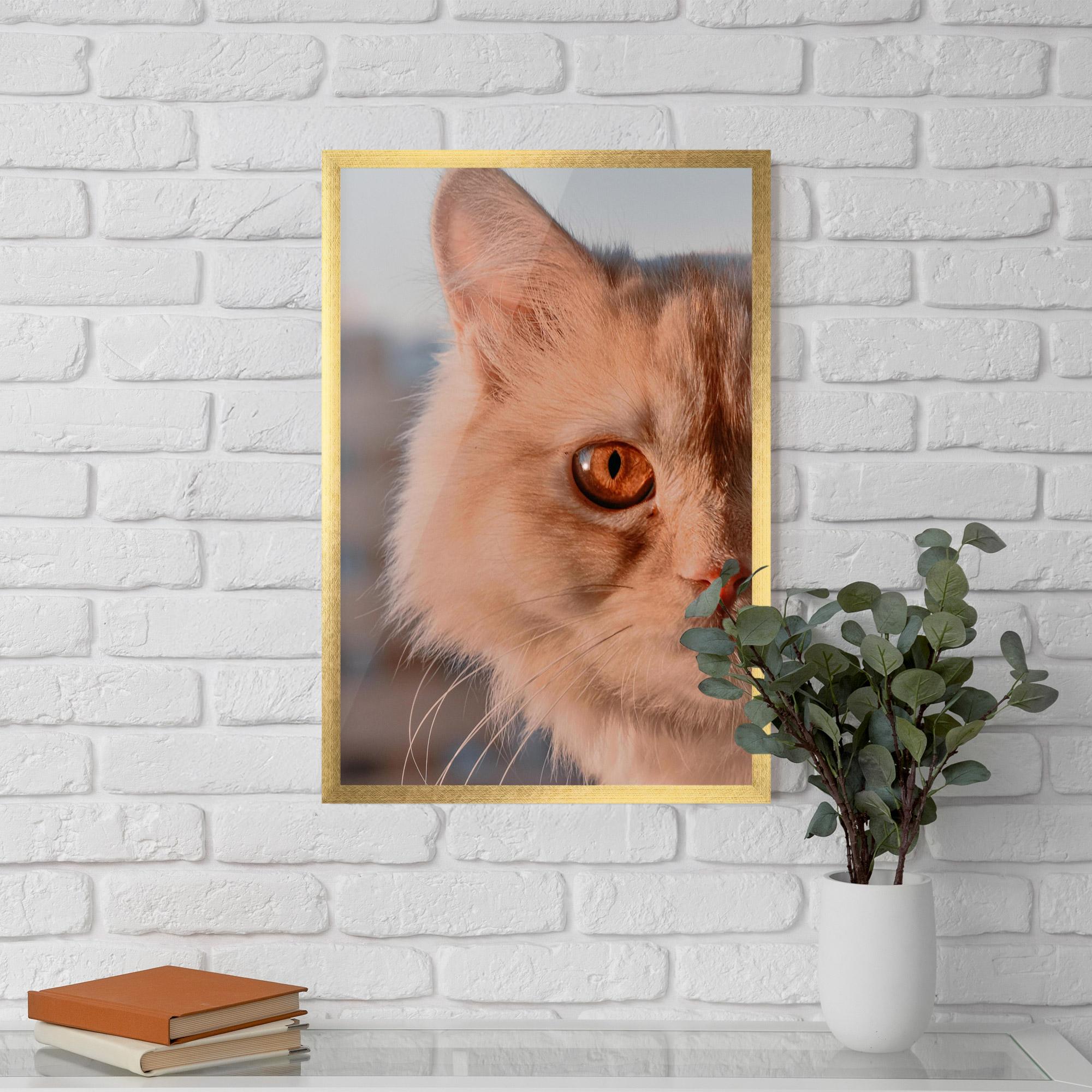 Gerahmte Poster Cat Eye In Sun mockup 5