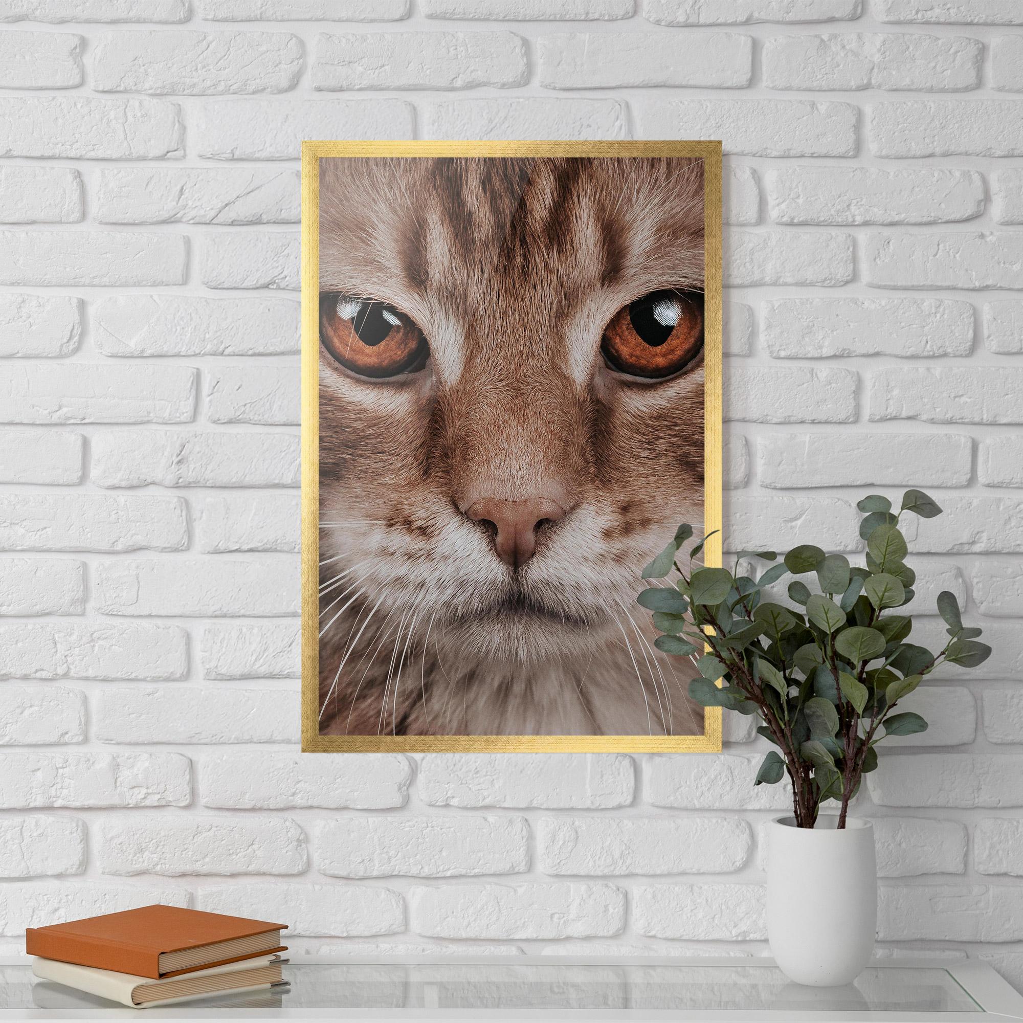 Gerahmte Poster Fire Eyes Cat mockup 5