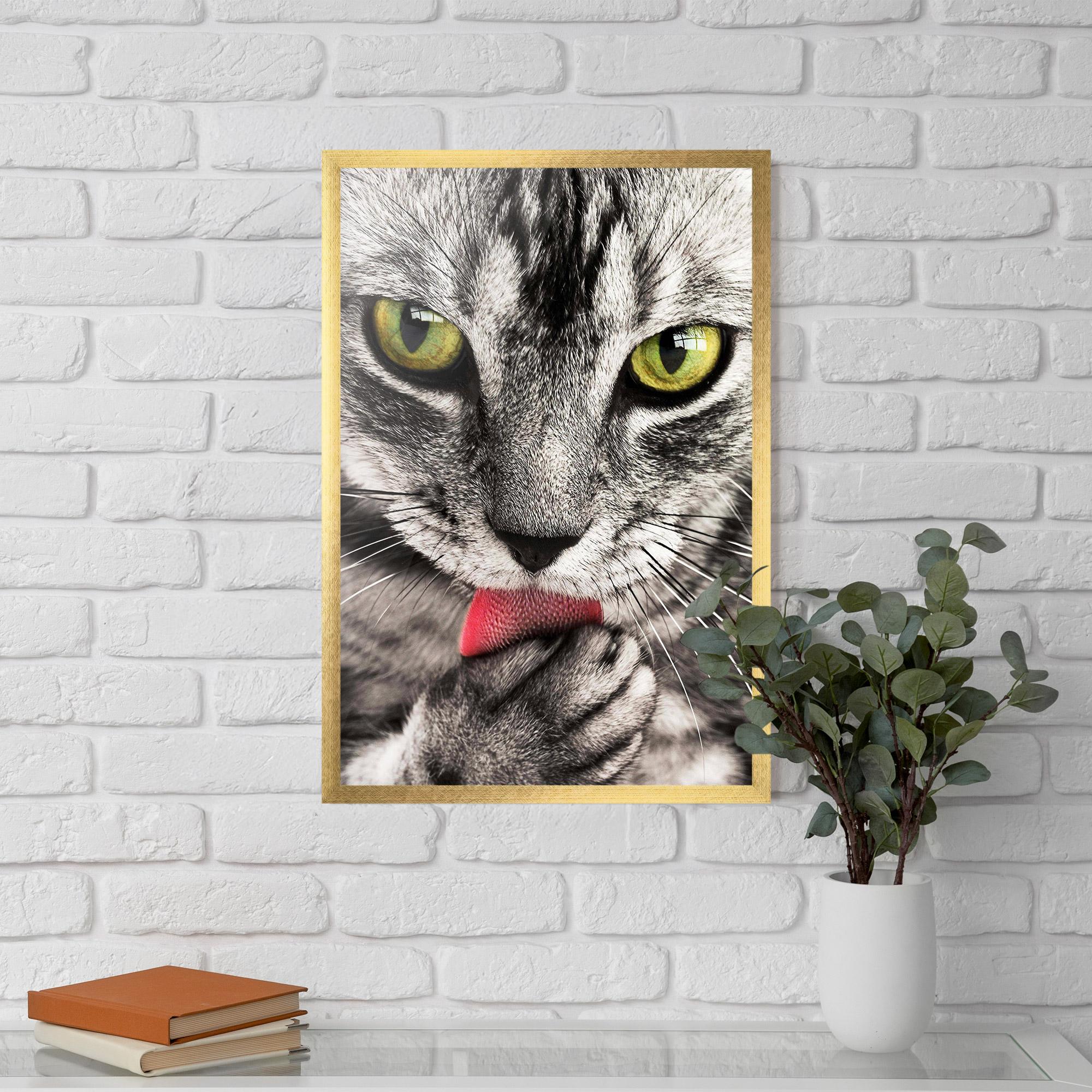 Gerahmte Poster Green Eyes Close Up Cat mockup 5