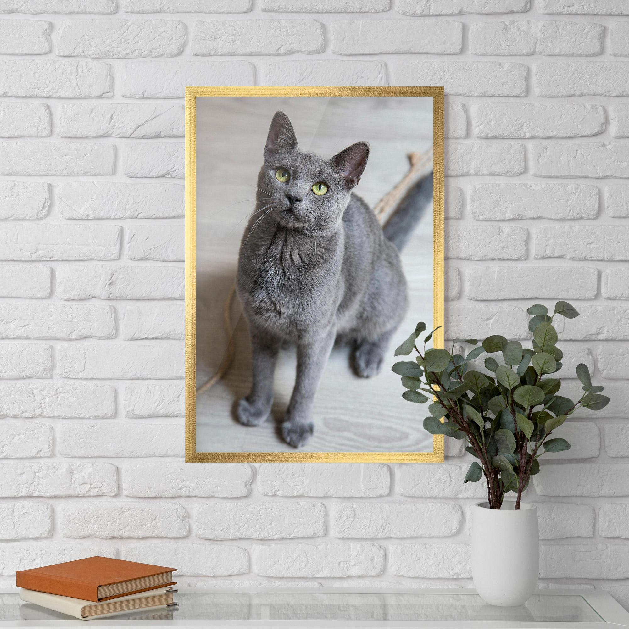 Gerahmte Poster Grey Green Cat Eyes mockup 5
